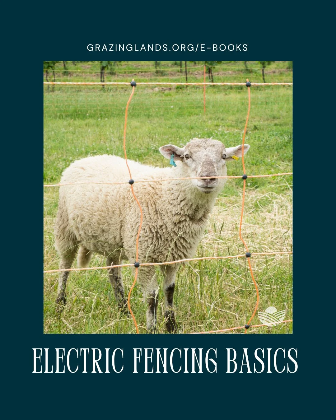 “If you look at the cost of electric fence, it is very, very cost effective. It gives you more management possibilities.” — Don Ashford
Chapter Four of the National Grazing Lands Coalition’s free e-book Grazing 101 dives in