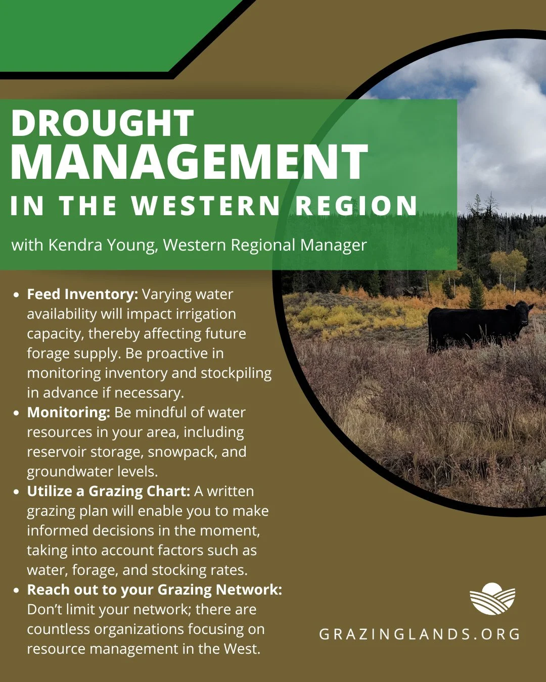 Drought management is crucial in the West, where access to water is a pressing issue. Effective strategies ensure sustainable water use, protect our ecosystems, and support local communities in facing the challenges of an increasingly arid climate.