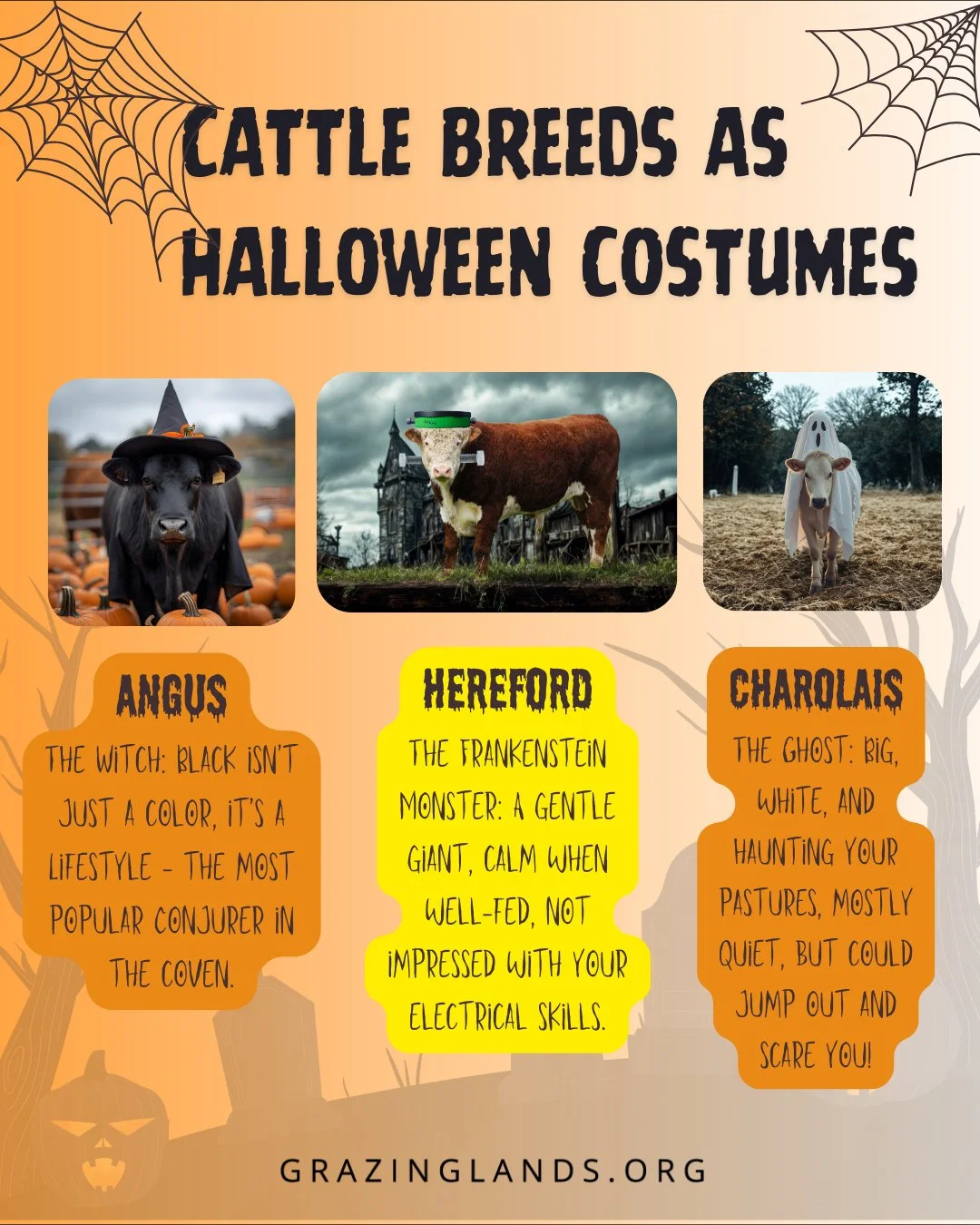 It&rsquo;s spooky season, and let&rsquo;s face it&mdash;the scariest part of any operation just might be the livestock! 🎃 Like a haunted house, they keep us on our toes, never knowing what surprises lurk around the corner. Join us for some fun as we