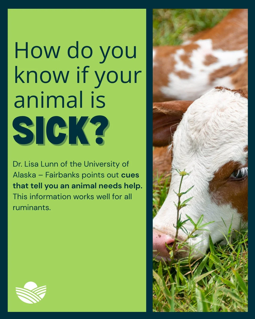 Spotting a sick animal isn&rsquo;t always easy. That&rsquo;s why knowing what &ldquo;normal&rdquo; looks like is your best tool. Dr. Lisa Lunn from the University of Alaska&ndash;Fairbanks breaks down the subtle signs that tell you an animal needs he