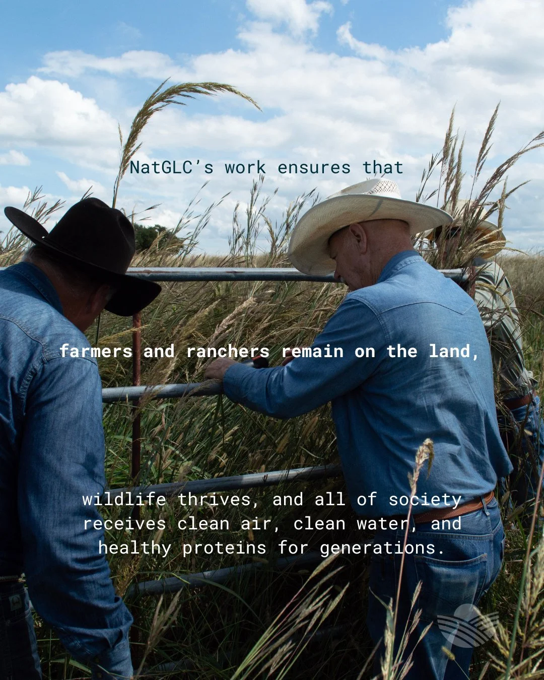 Grazing lands provide essential ecosystem services, including cleaner water, thriving wildlife habitats, stored carbon, and nutritious food. NatGLC is here to support what matters most to you.⁠
⁠
As we head into 2026, what&rsquo;s your focus?⁠
Let us
