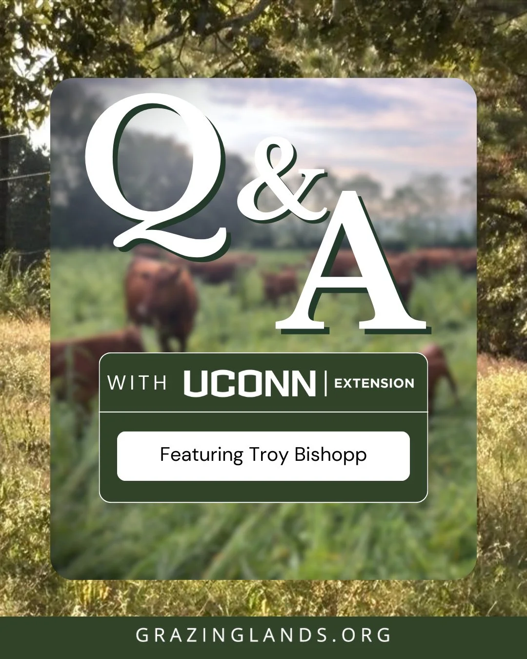 What does grazing look like for beginning farmers?⁠
In a recent conversation with Troy Bishopp, UConn Extension captured insights we&rsquo;re excited to share.⁠
⁠
Watch the full interview, link in bio.⁠
⁠
Produced by UConn Extension for the Climate S