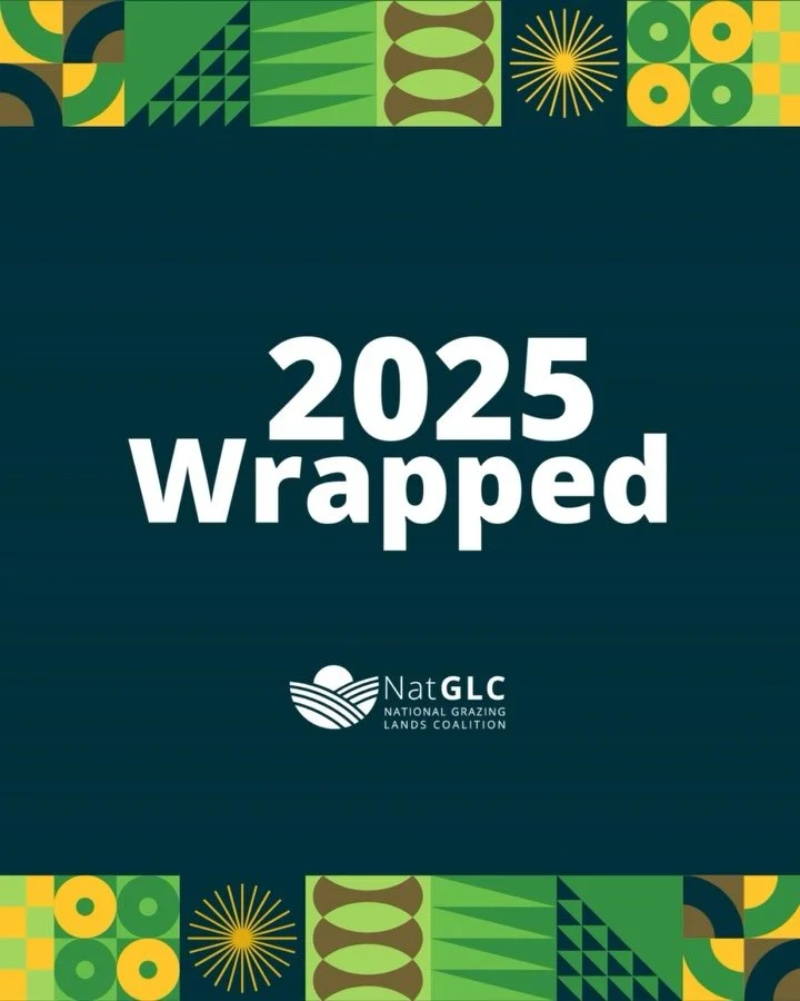 What a year 2025 has been. Thanks for being a part of it!