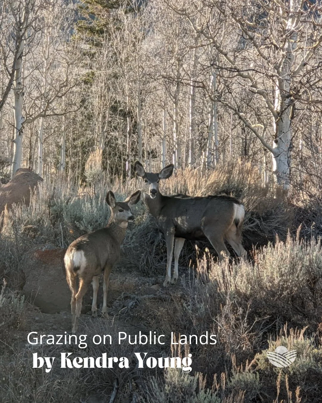 Over 615 million acres of America&rsquo;s landscape are federally managed&mdash;and many ranchers rely on these lands to make their operations work. But what does it take to legally graze livestock? Our newest blog breaks it all down: who manages wha