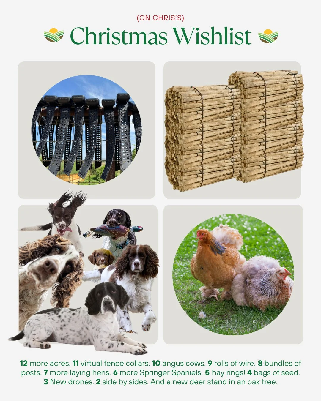 What do graziers want for Christmas? Turns out, our NatGLC staff has some very on-brand requests. Check out their wish lists!