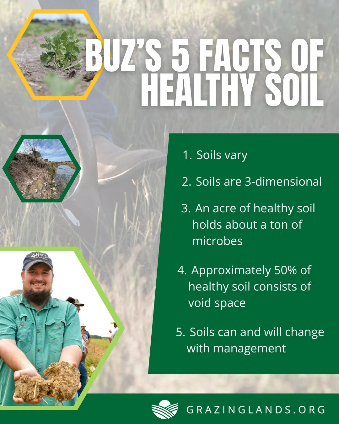 Dig deeper into soil health with Buz Kloot, Ph.D., as he shares his Fab Five Facts of Healthy Soil.⁠
⁠
Watch now, link in bio.