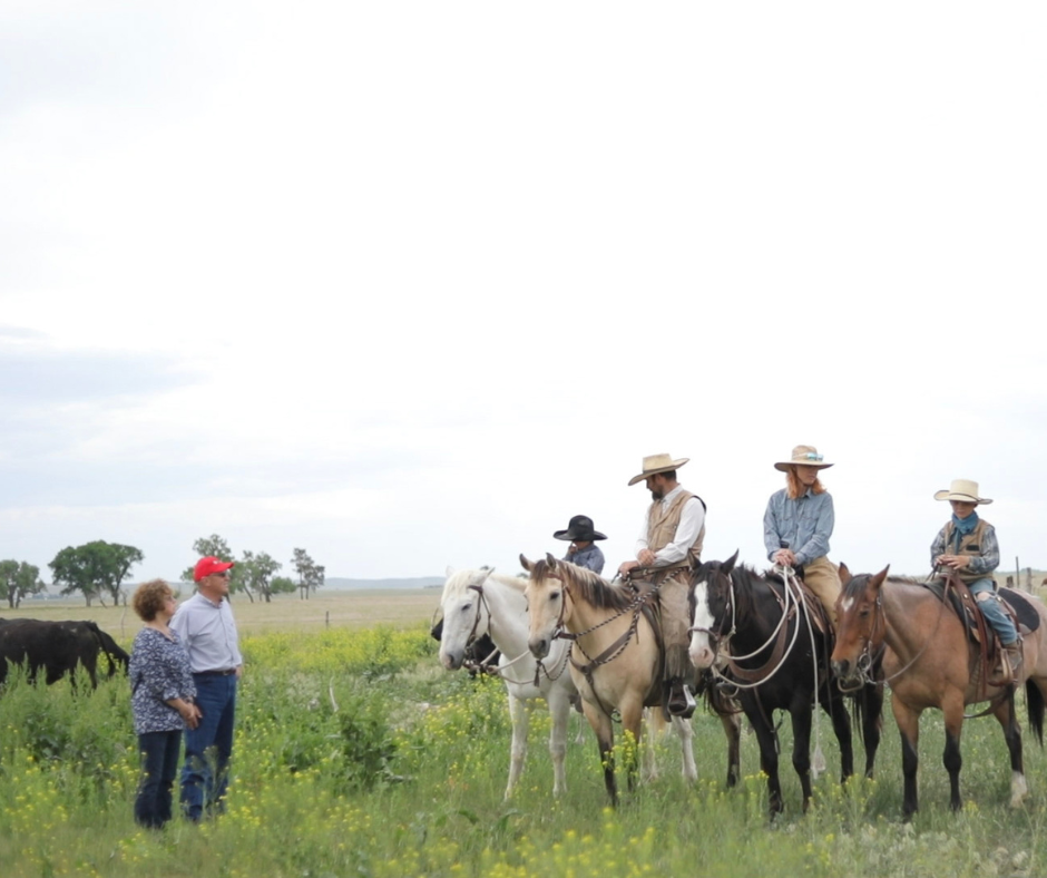 Legacy Landscapes Program expands support for U.S. cow-calf producers, providing more than $70K in valued assistance