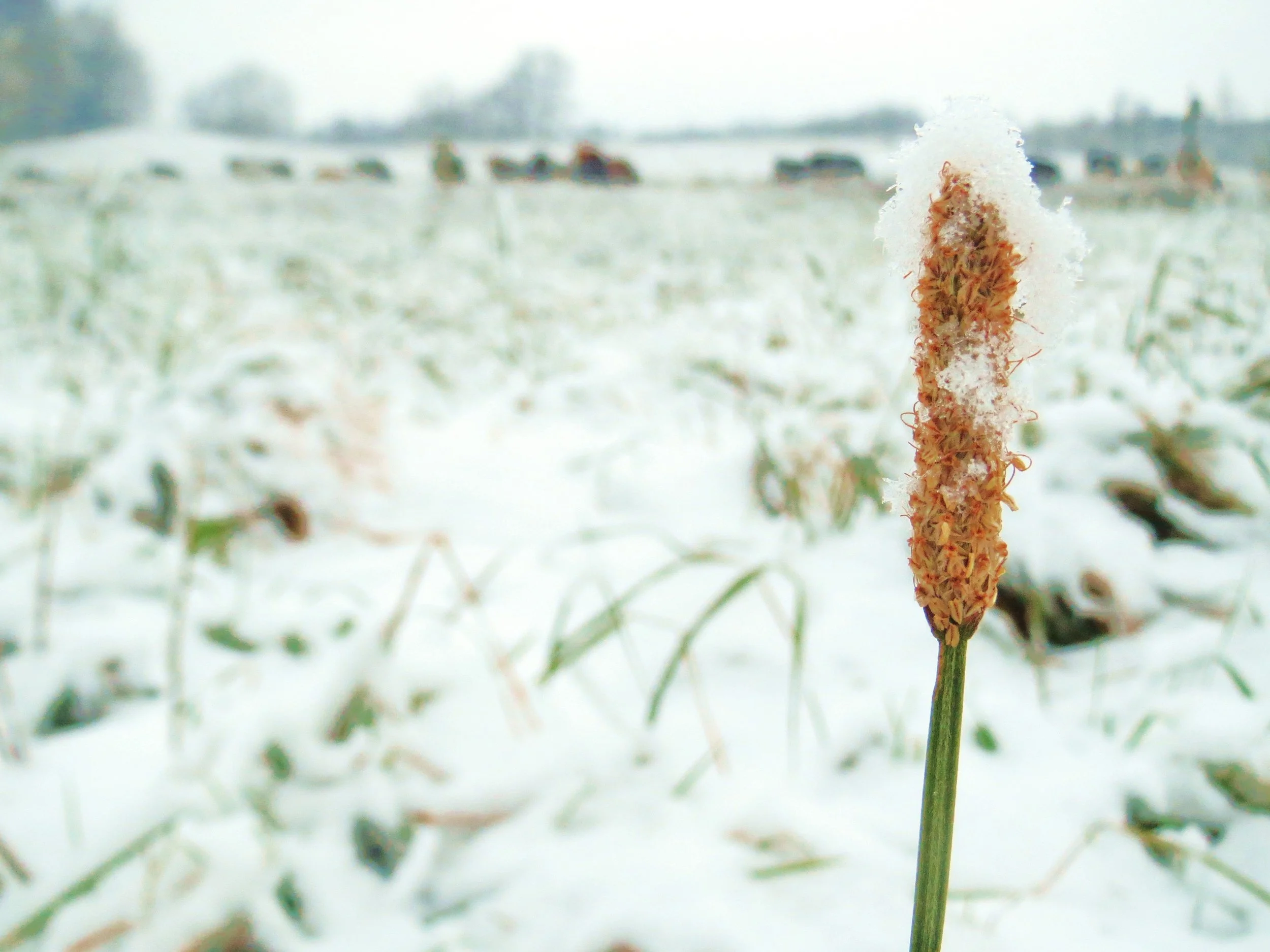 Appreciating Snow Retention&nbsp;