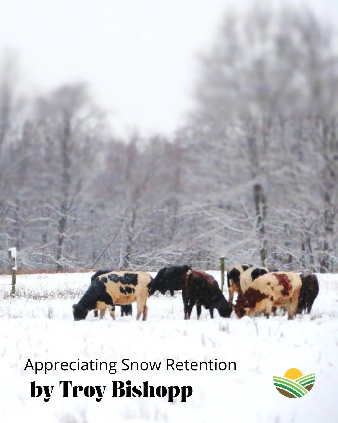 New on the blog! What if snow isn&rsquo;t a nuisance&mdash;but an opportunity?⁠
⁠
In Appreciating Snow Retention, Troy Bishopp, NE NatGLC Grazing Resource Manager, takes us on a winter pasture walk that reveals how grass residuals, shelterbelts, ripa
