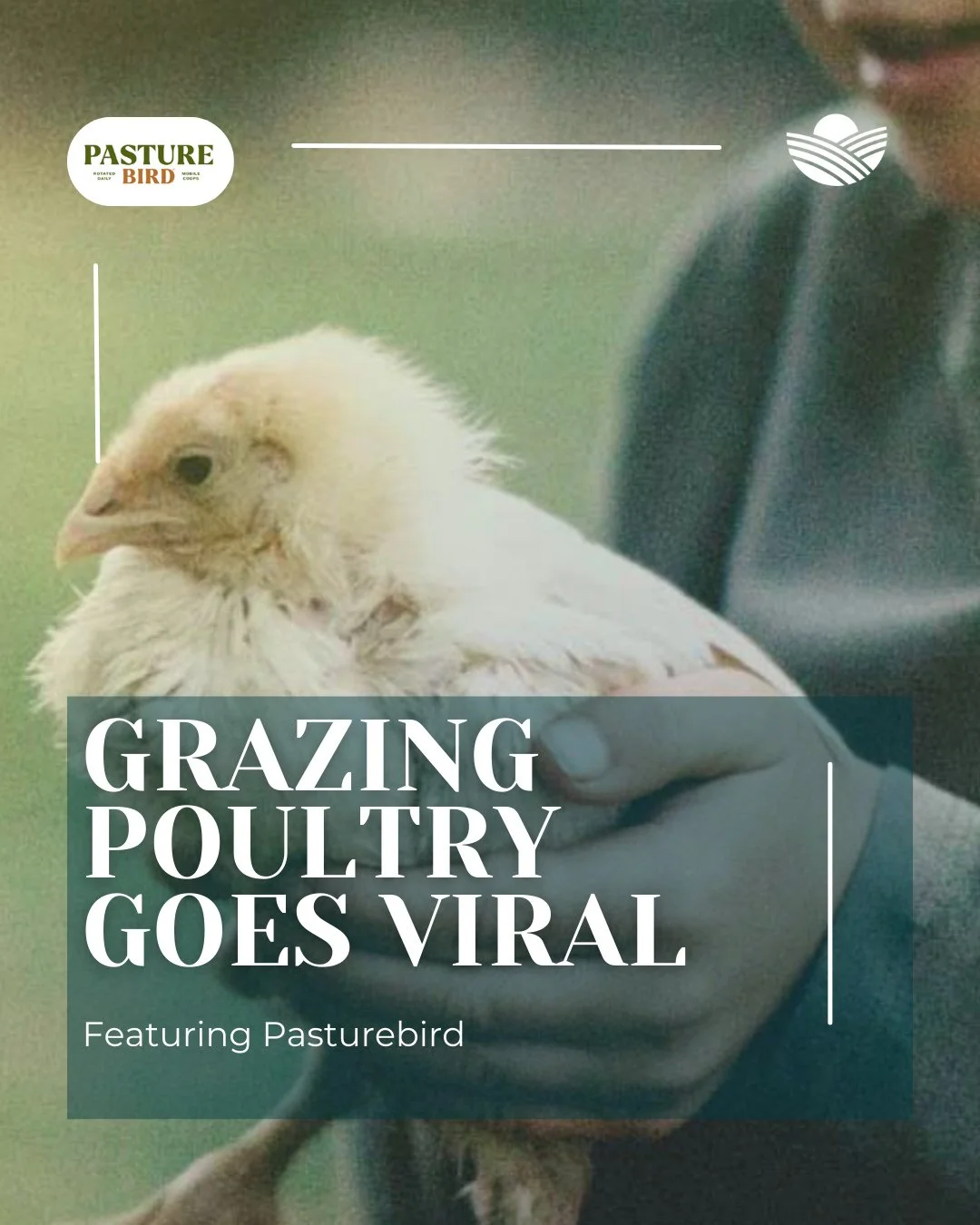 Grazing poultry is gaining national attention, and for good reason. ⁠
⁠
At Pasturebird, innovative, solar-powered mobile housing allows chickens to move across the landscape, giving them continuous access to fresh forage while naturally fertilizing t