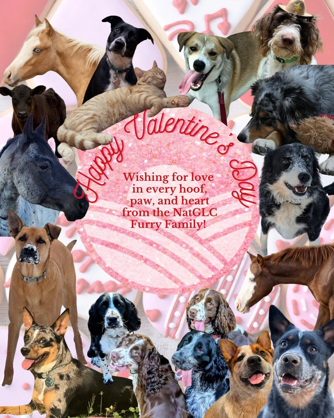 This year, NatGLC is celebrating the unconditional love of our furry companions. Wishing you a Happy Valentine's Day!