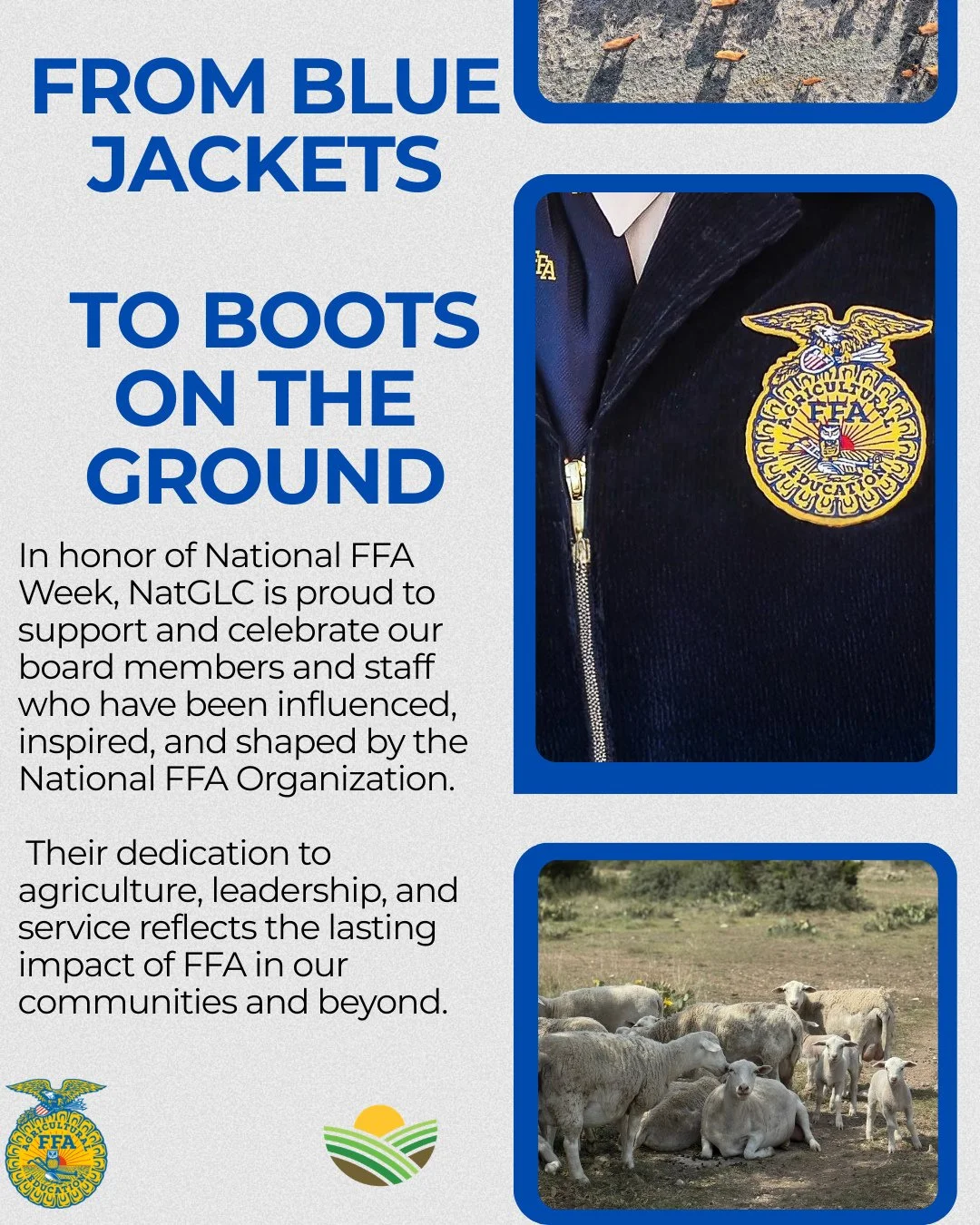 In honor of National FFA Week, NatGLC is proud to support the National FFA Organization and celebrate our board members and staff who have been shaped by its mission and values. ⁠
⁠
Their passion for agriculture, leadership, and service reflects the 