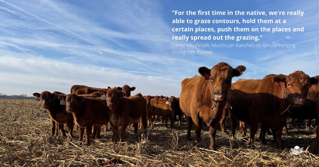 &ldquo;The ability to go to a softball game in the summer, because the cows are moving themselves. What's that worth? It's worth quite a bit."⁠
⁠
Watch the interview: link in bio.⁠
⁠
With virtual fencing technology, Mushrush Ranches have optimiz