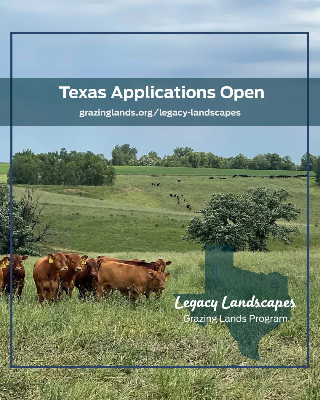 Legacy Landscapes supports cow-calf operations in Texas to improve grazing lands, strengthen operations, and access new markets. ⁠
⁠
Participants can receive:⁠
-  over $70,000 in potential funding⁠
-  one-on-one support from Wildlife Habitat Federati