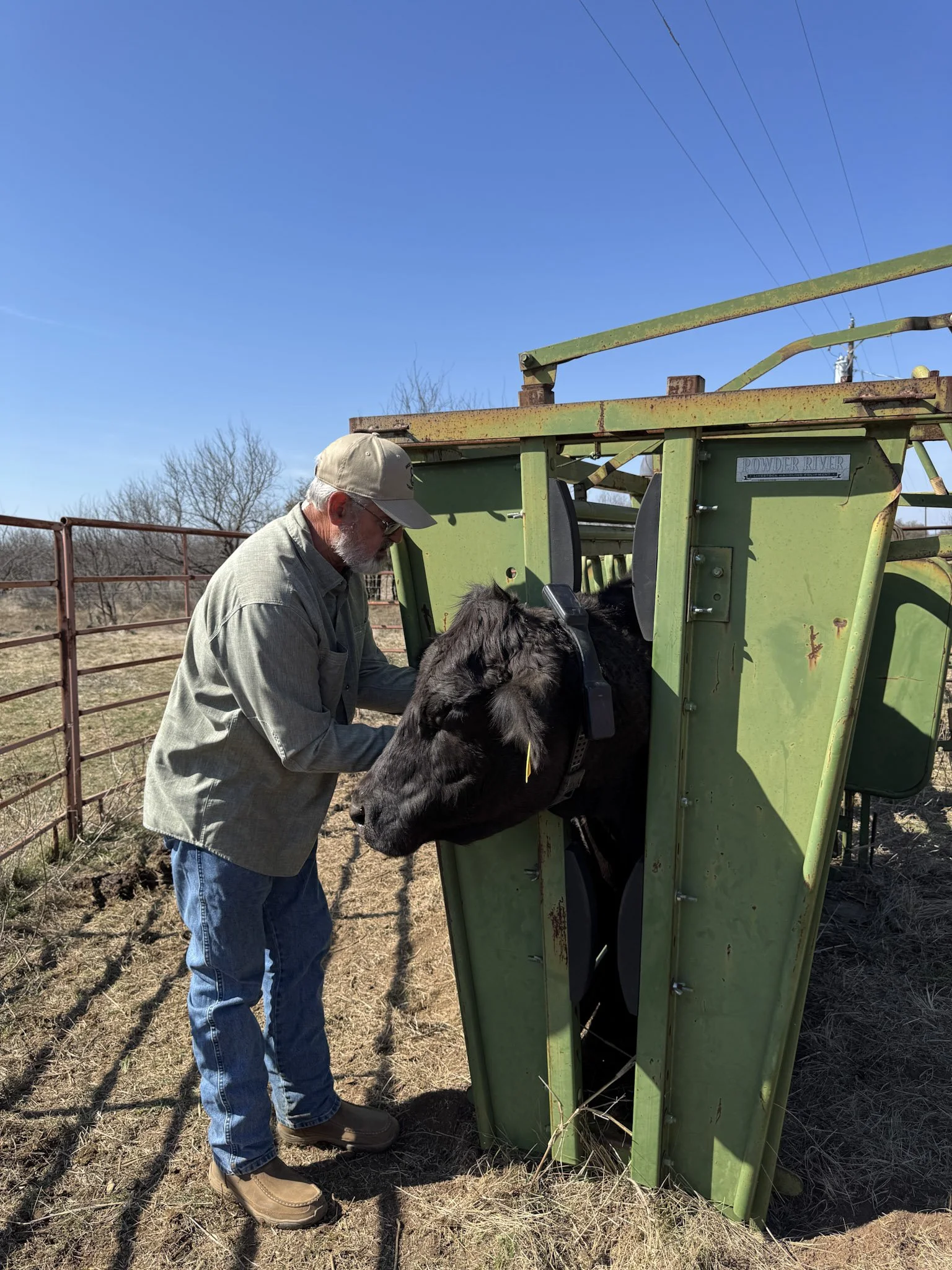Virtual Fencing Is Growing Up Fast&nbsp;