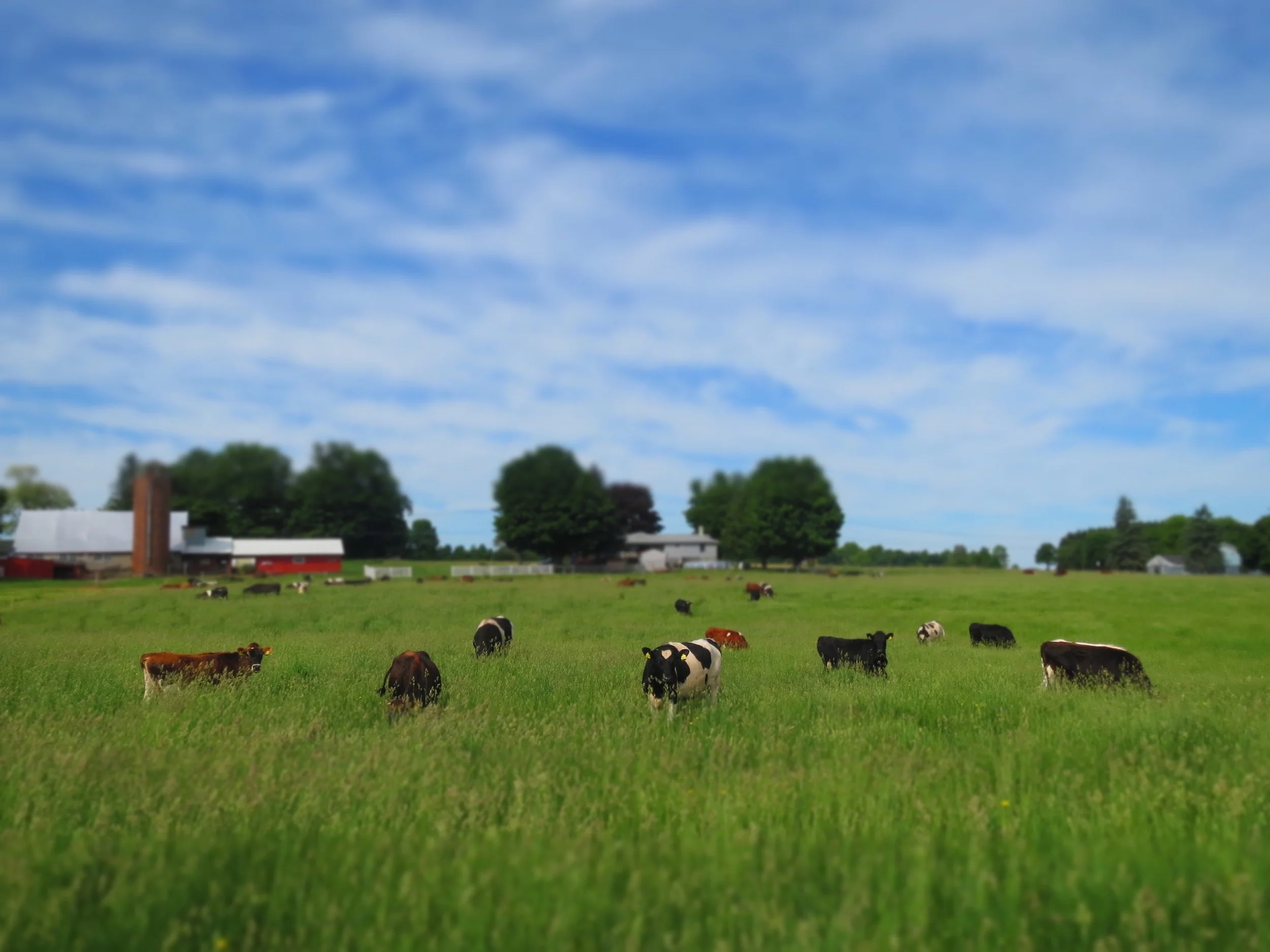 Grazing Planning: An Essential Habit