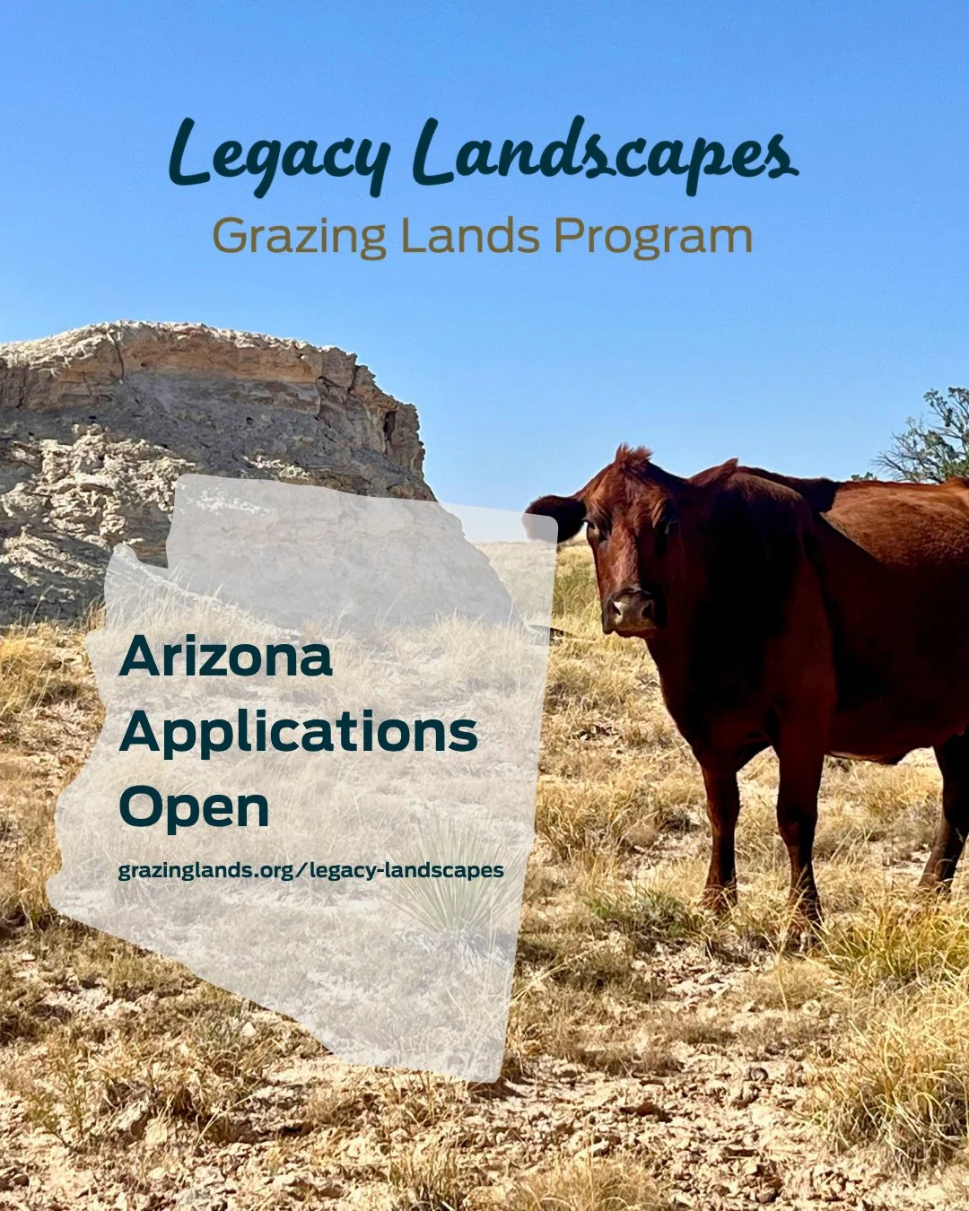 Legacy Landscapes supports cow-calf operations in Arizona to improve grazing lands, strengthen operations, and access new markets. ⁠ ⁠
⁠
Participants can receive:⁠ ⁠
-  over $70,000 in potential funding⁠ ⁠
-  one-on-one support Technical Assistance⁠ 
