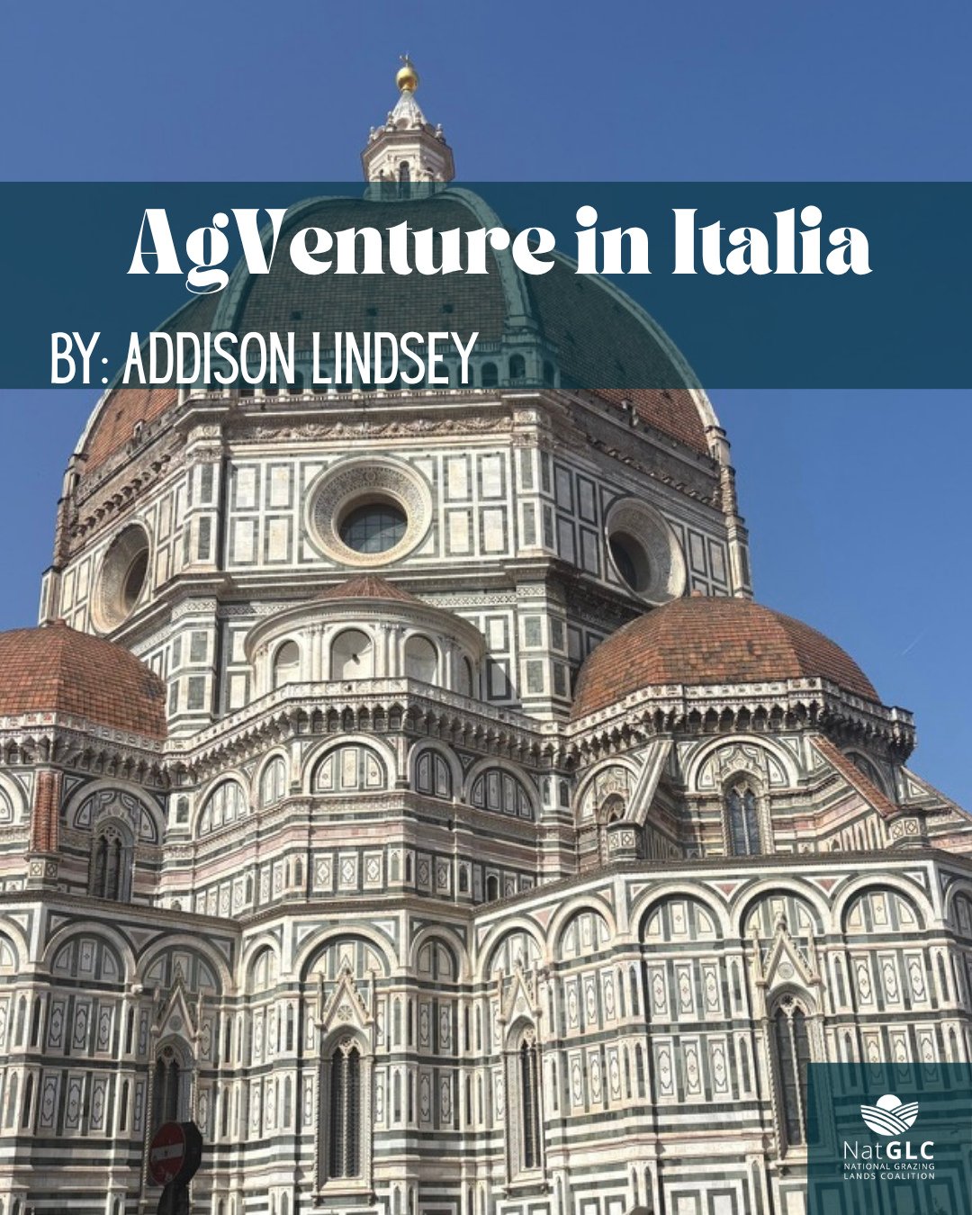 Our content intern, Addison Lindsey, had the opportunity to participate in a study abroad program in Italy with Mississippi State University, gaining a global perspective on agriculture and its connection to culture. ⁠
⁠
From vineyards to local marke