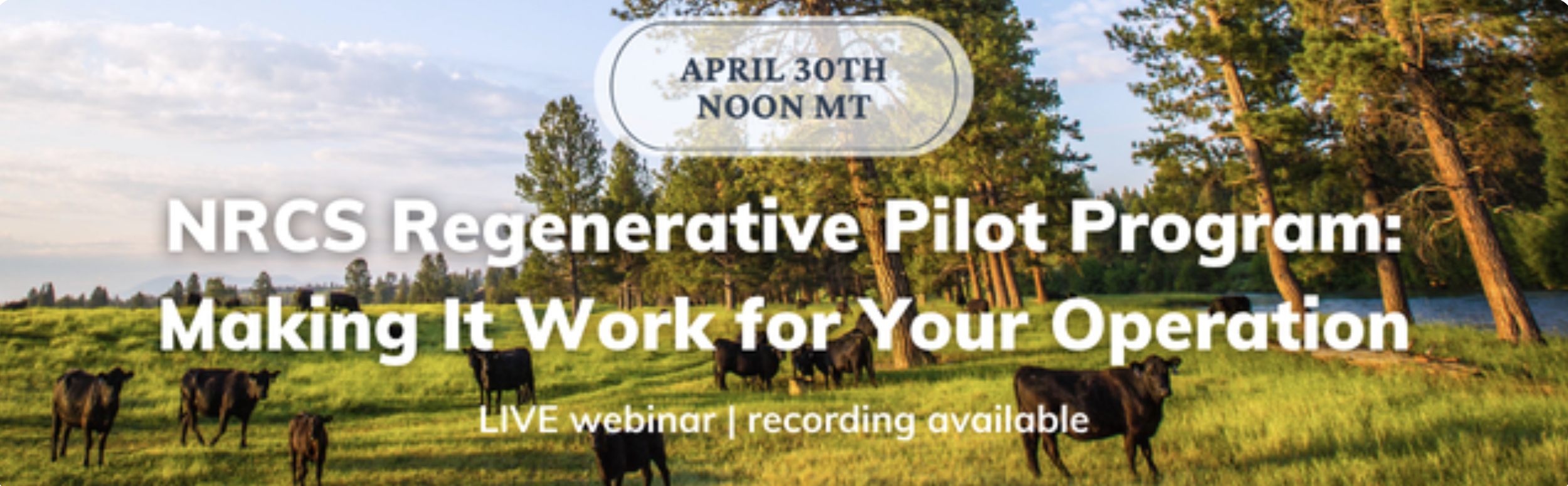 NRCS Regenerative Pilot Program:&nbsp;Making It Work for Your Operation