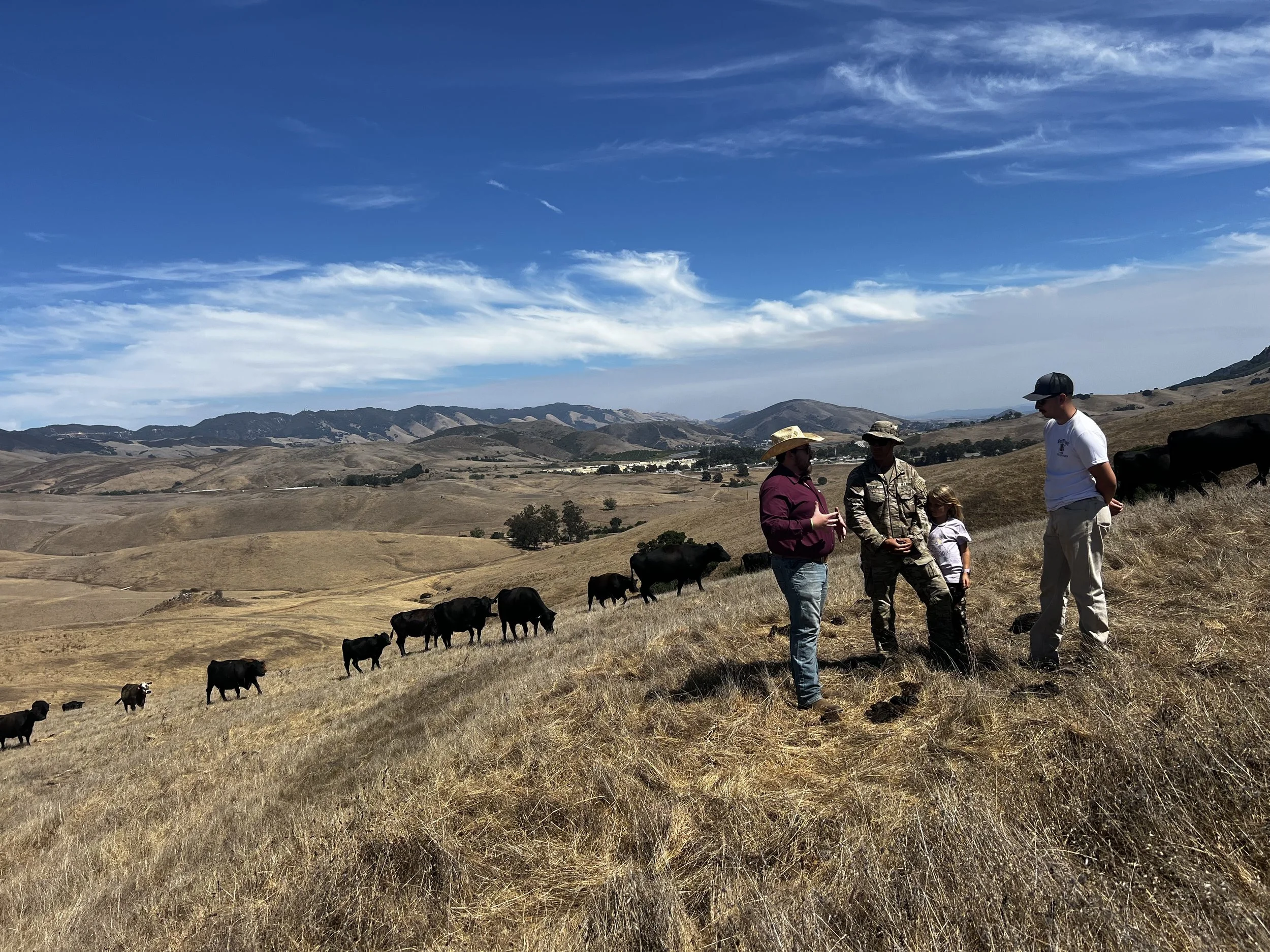 Let’s Talk Grazing 101