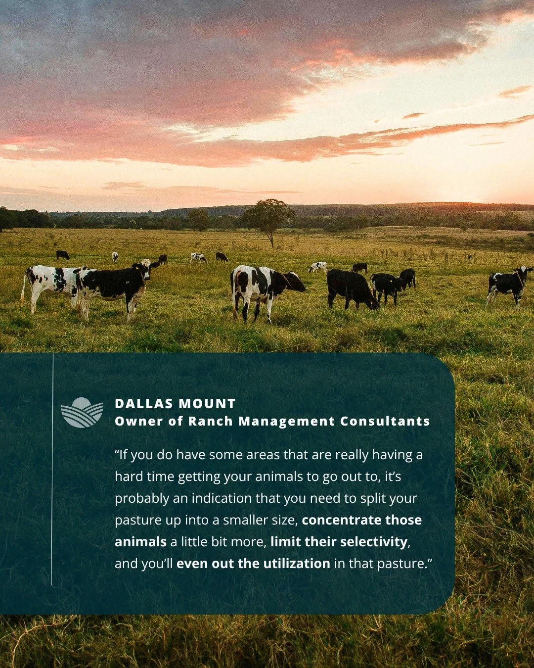 What does light, �moderate and heavy �grazing look like?�⁠
�⁠�Learn more with Dallas Mount and Kathy Voth  in our e-book, Grazing 101 (page 141): l i n k i n b i o.