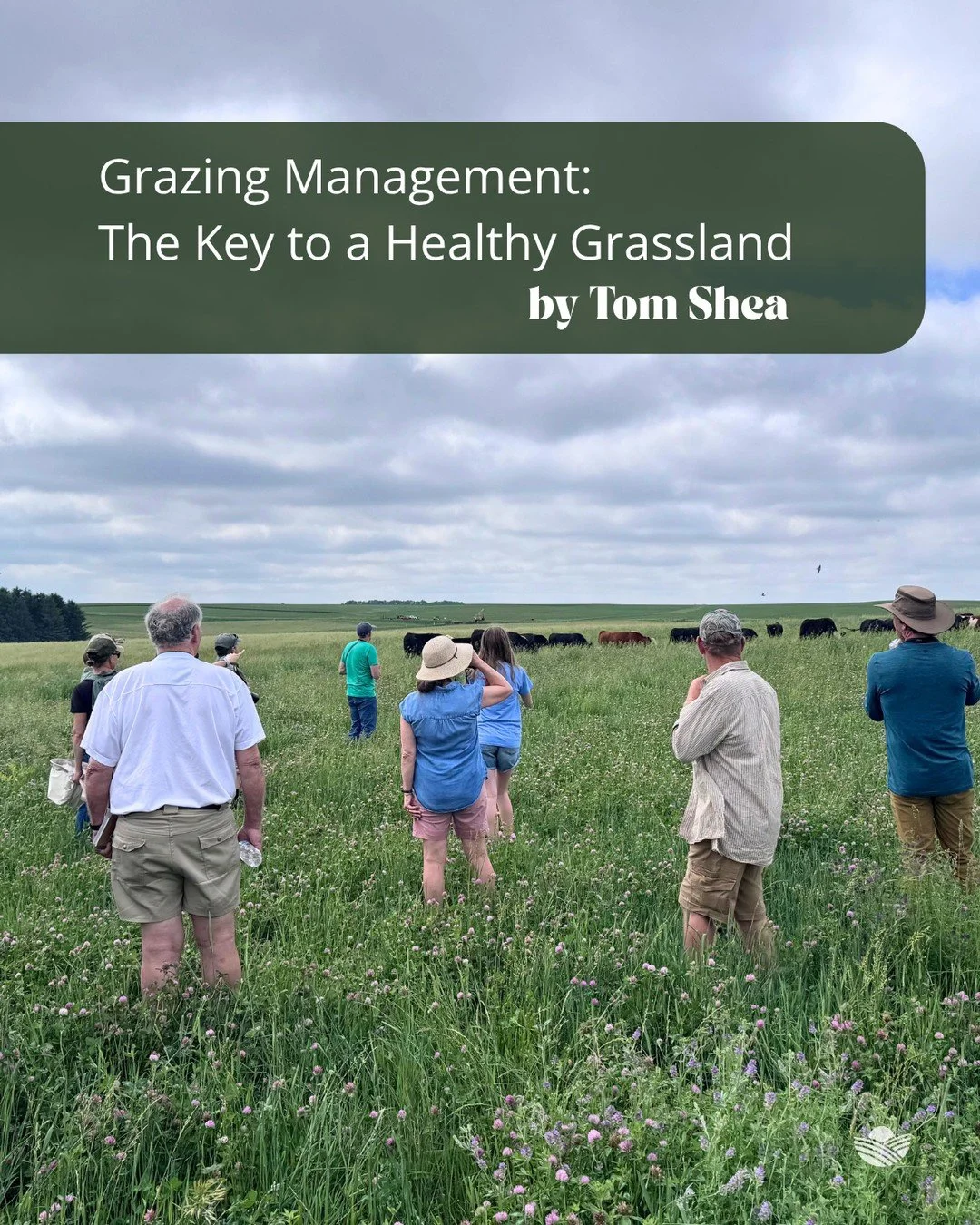 ⁠
A field day that combined bird-watching and grazing? It worked.⁠
⁠
After attending the Minnesota Grazing Lands Conservation Association's Feathers on the Farm event, Tom Shea came away with two key takeaways. Read Tom's latest blog to learn why eve