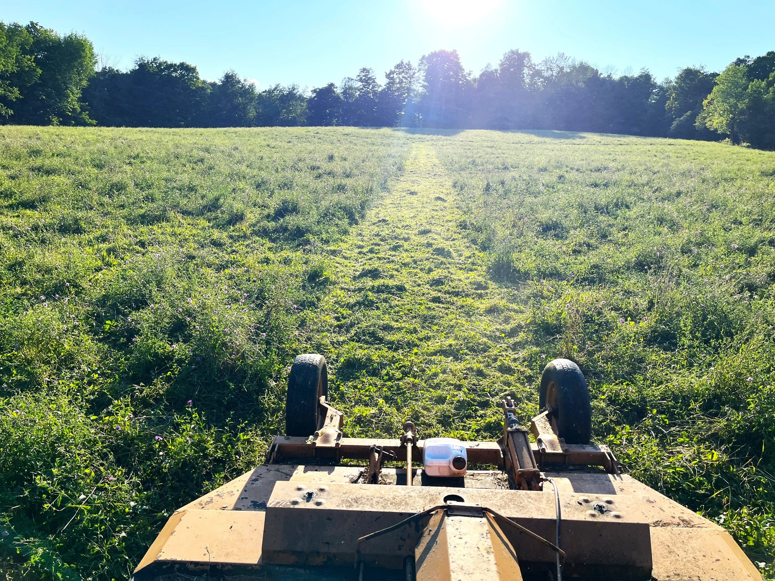 My Emotional Support Mower