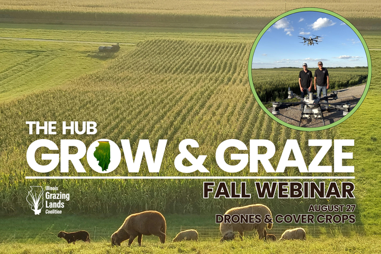 Using Drones to Interseed Cover Crops