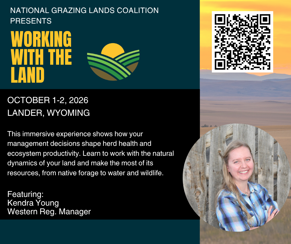 Working with Western Lands with Kendra Young