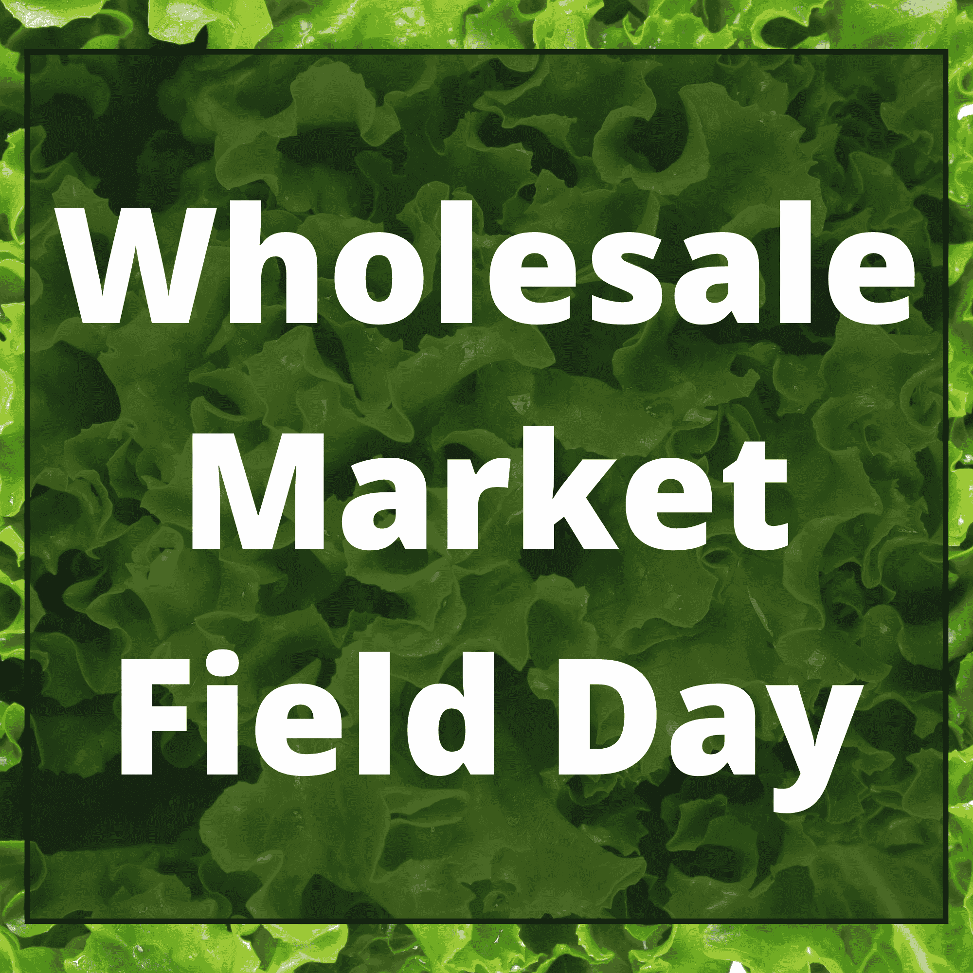 Wholesale Market Field Day