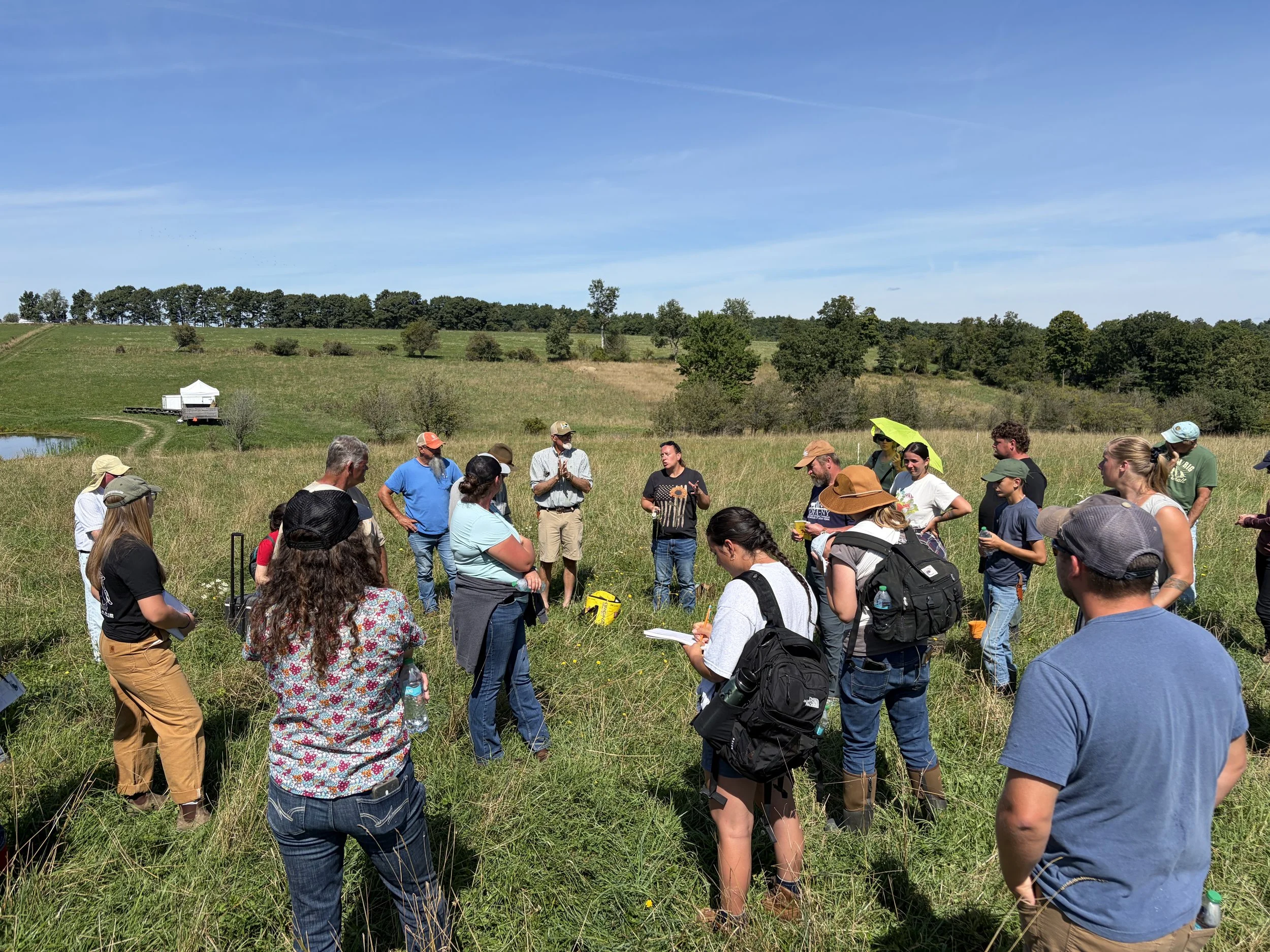 Connection is Health: Lessons from the Pasture&nbsp;