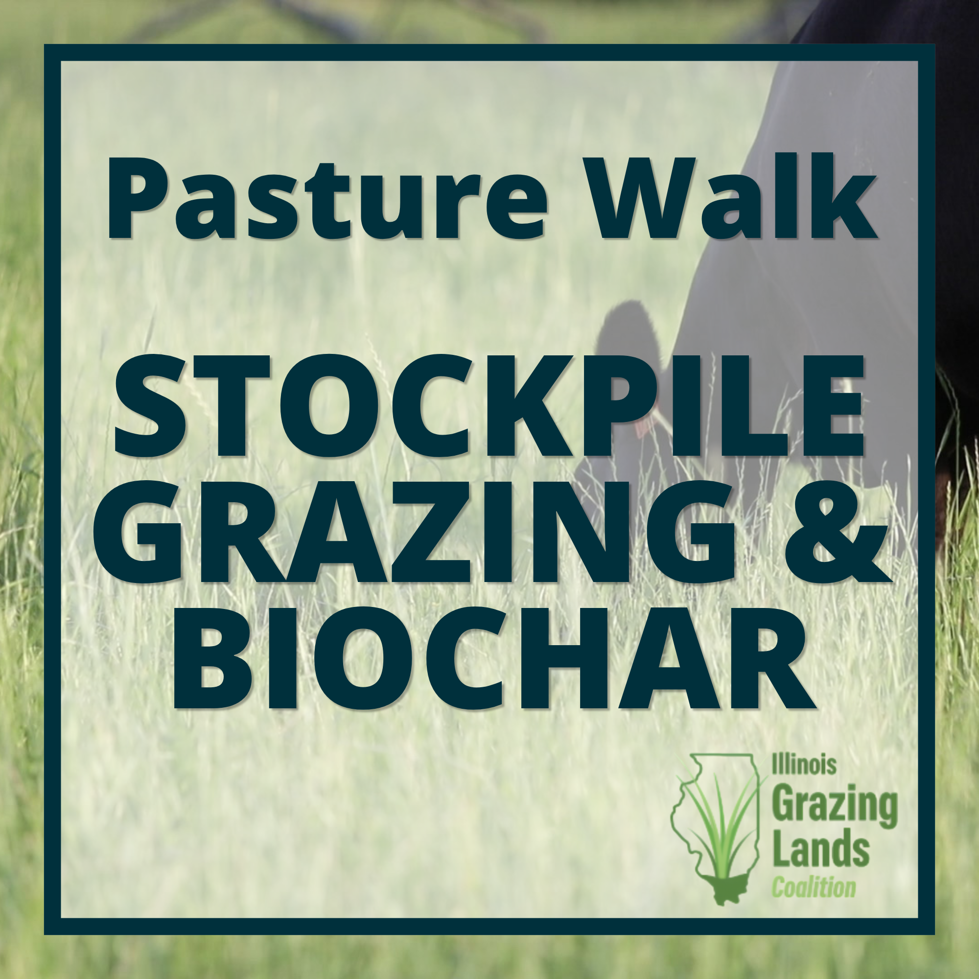 Pasture Walk: Stockpile Grazing & Biochar