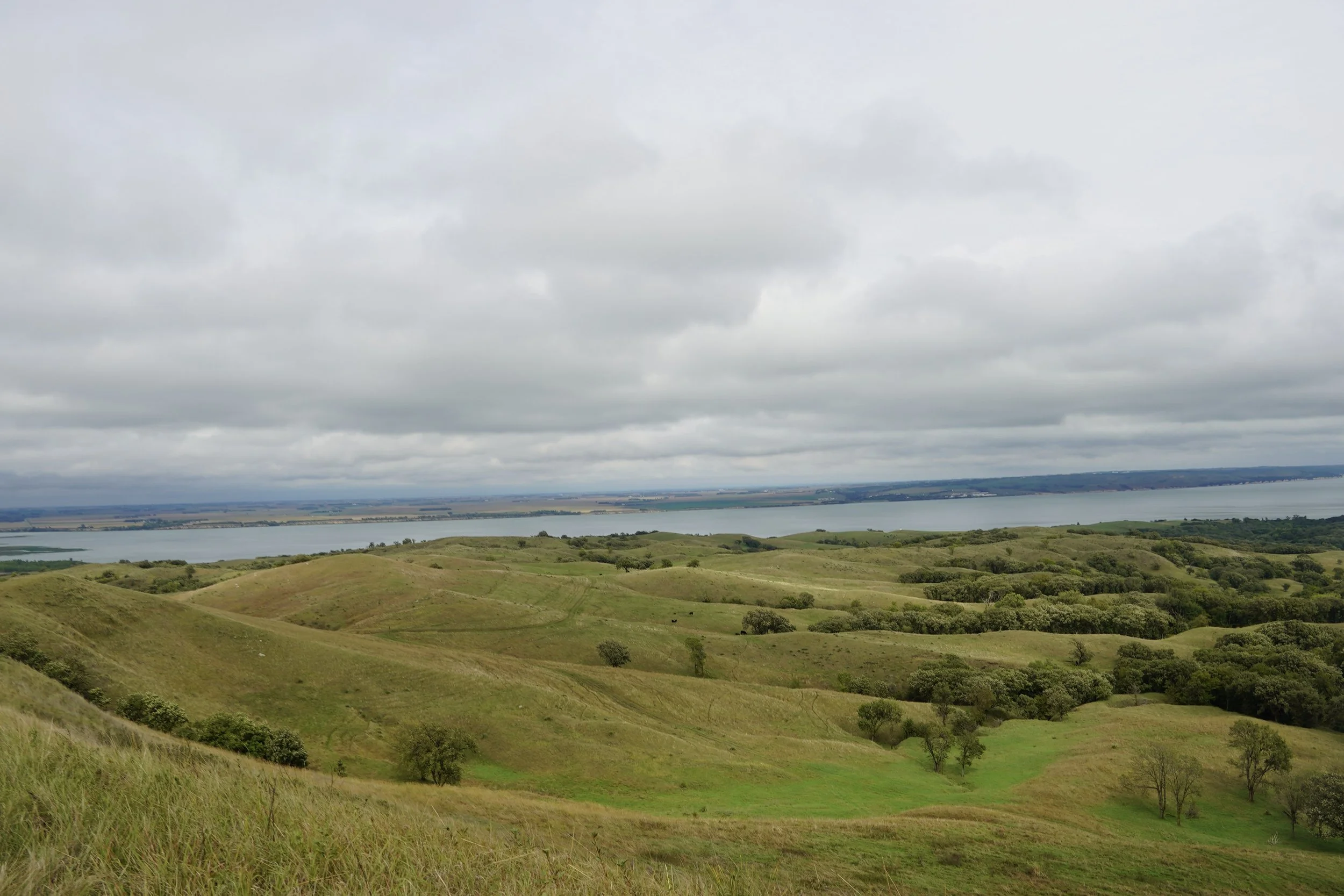 National Grazing Lands Coalition Announces More Than $7 Million in Grazing Lands Conservation Initiative Subawards