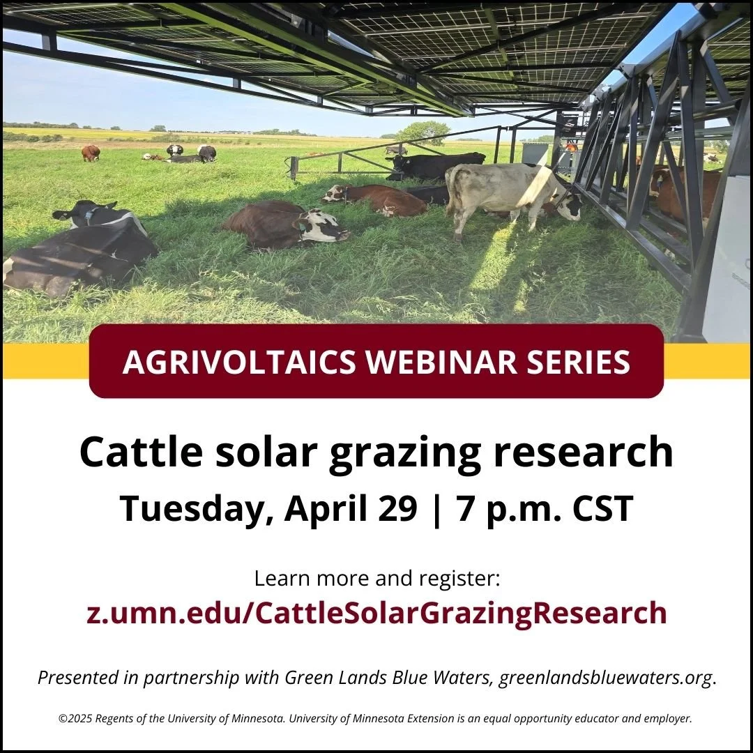 Cattle Solar Grazing Research — NatGLC