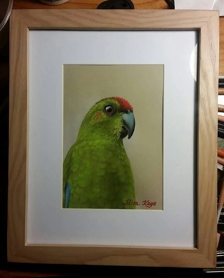 Colorful painting of a green parrot with red markings on its head and a blue wing, framed in a wooden frame.