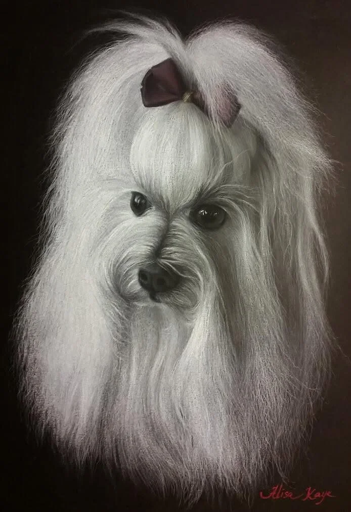 A realistic portrait of a small dog with long, flowing white fur, black eyes, and a small bow on its head.