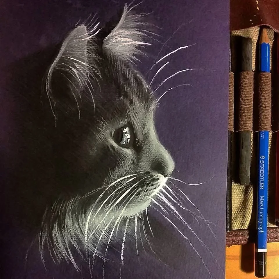 Close-up side profile of a black cat with white whiskers, drawn on purple paper.
