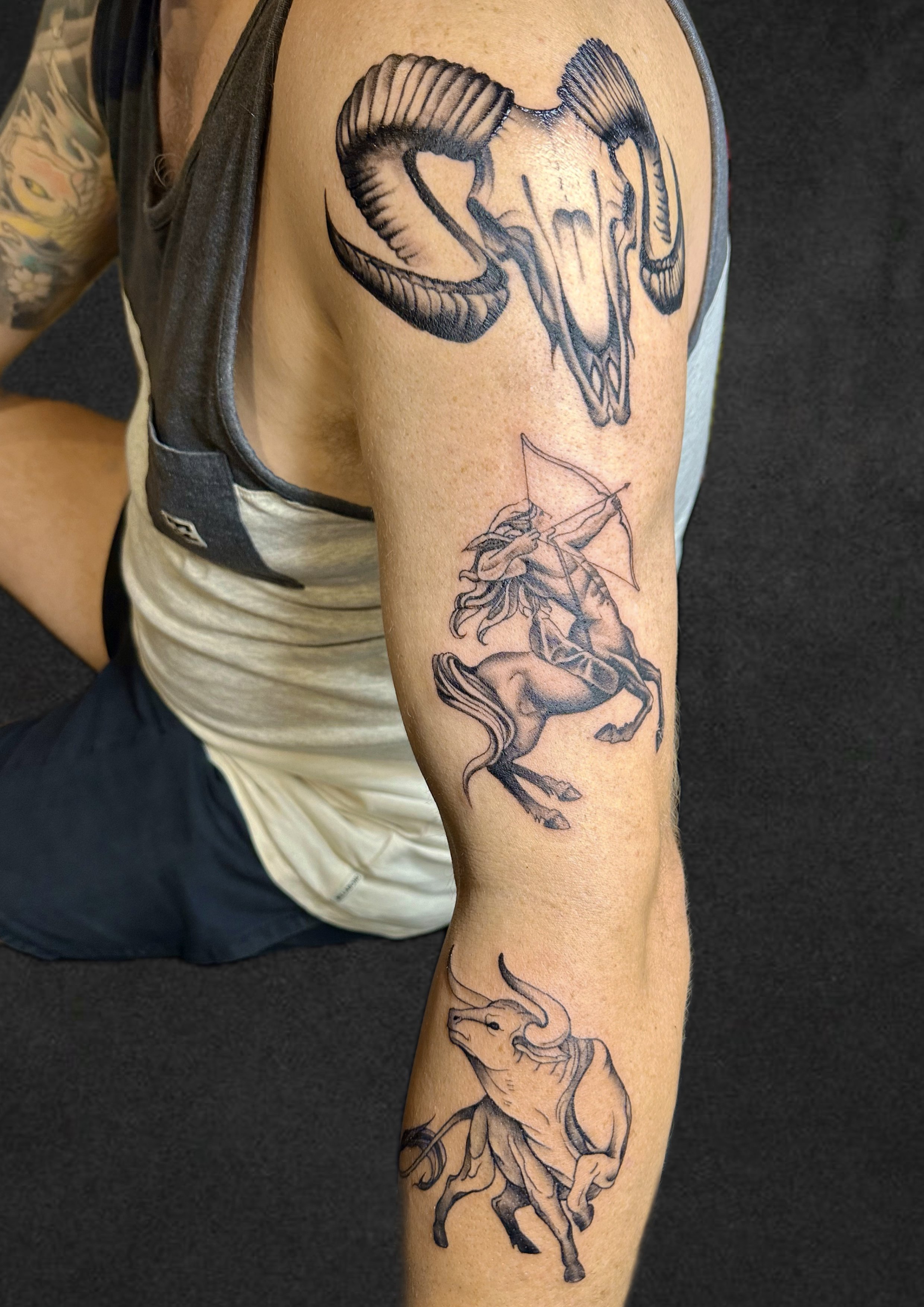 Tattoo of a ram's skull with large curved horns on upper arm, a detailed drawing of a centaur with a bow and arrow on middle arm, and a bull with an arrow on its side on lower arm.