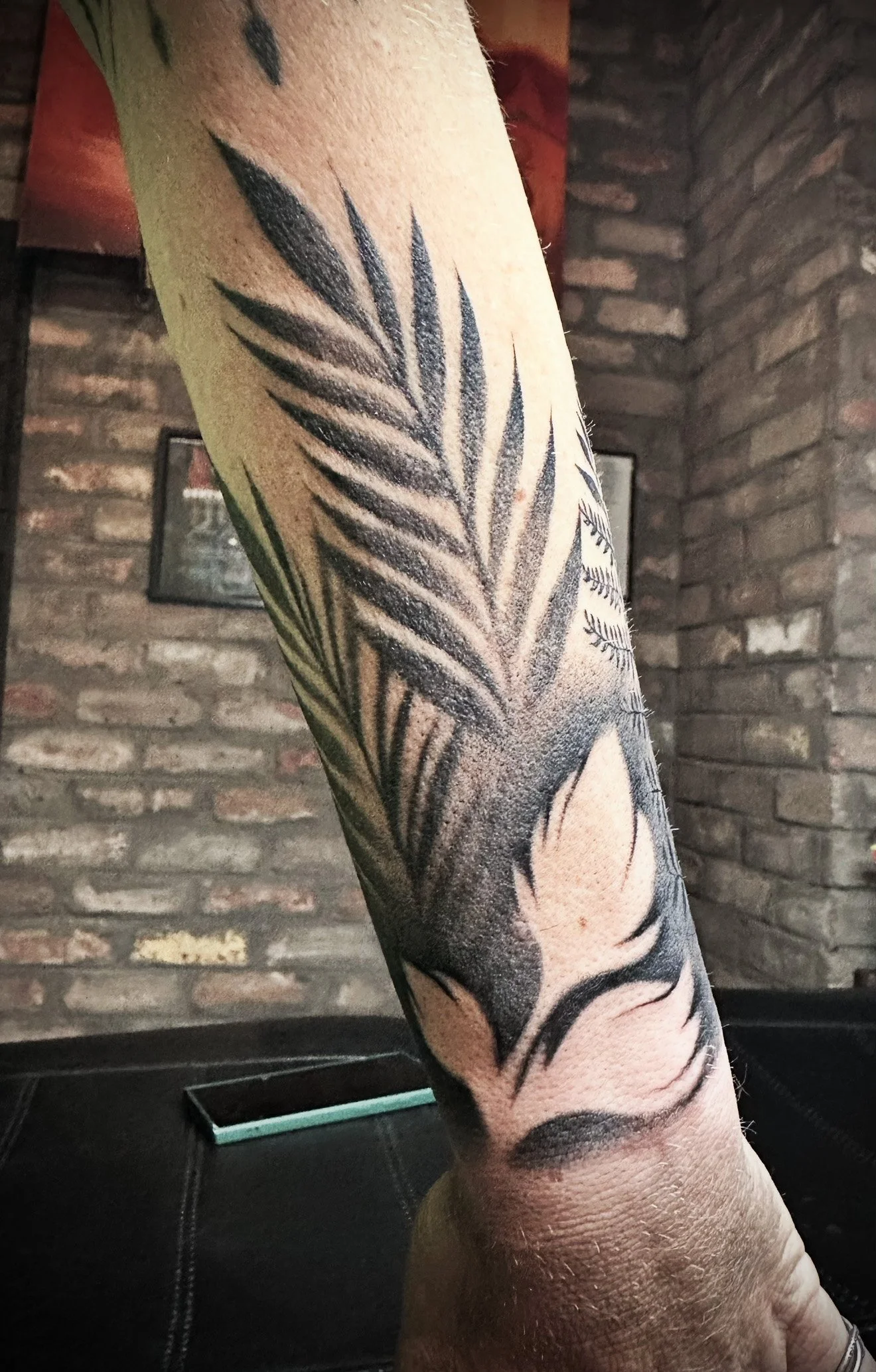 Fern_02.jpg