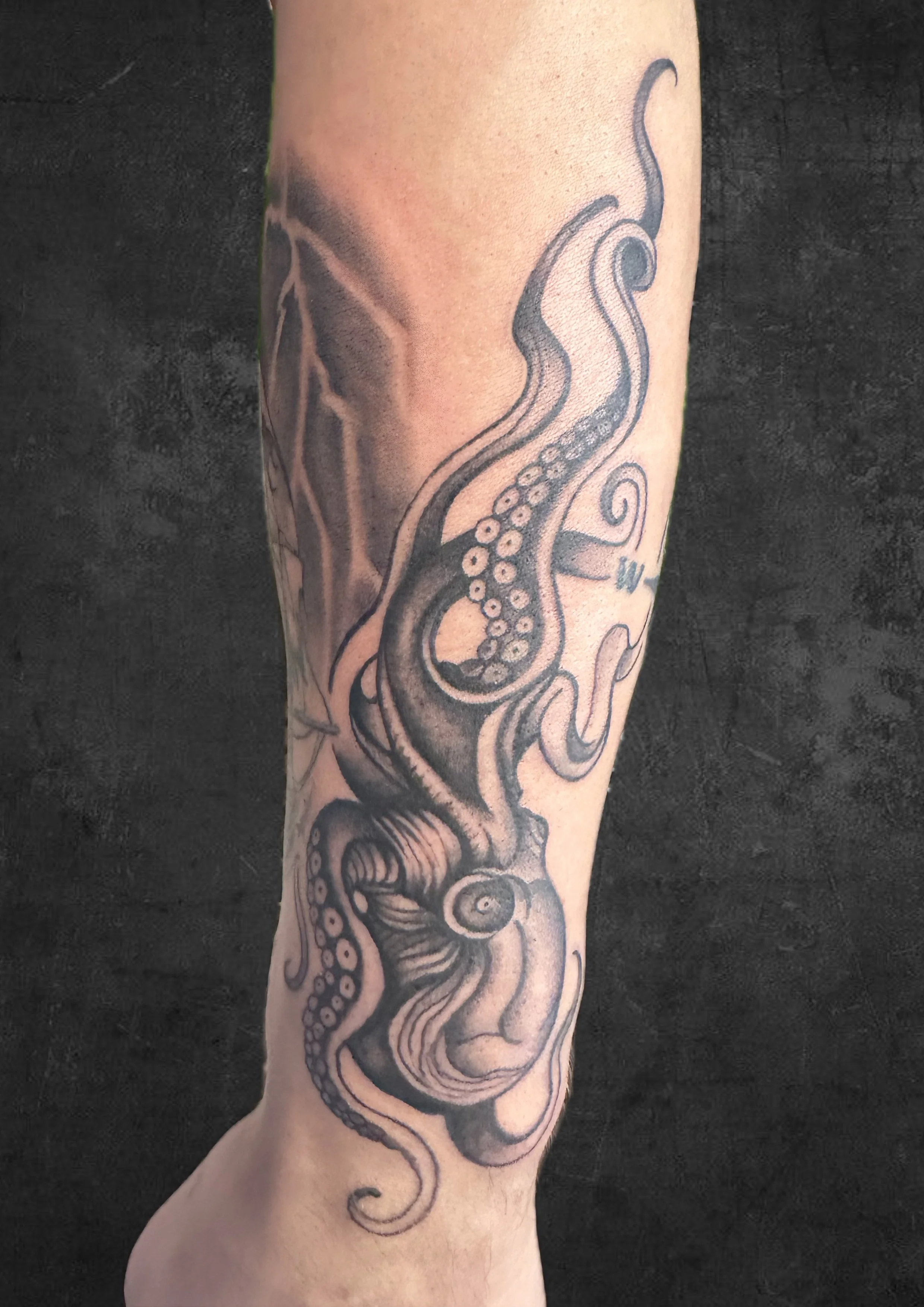 Black and gray tattoo of an octopus with detailed tentacles on a person's arm.