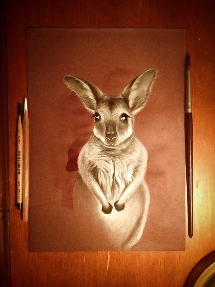 A realistic drawing of a kangaroo with detailed fur and large ears, on brown paper, surrounded by two pencils and a paintbrush.