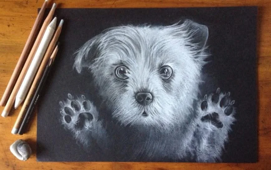 A realistic grayscale drawing of a cute puppy with its paws raised, on black paper, with drawing pens and a graphite stick nearby.
