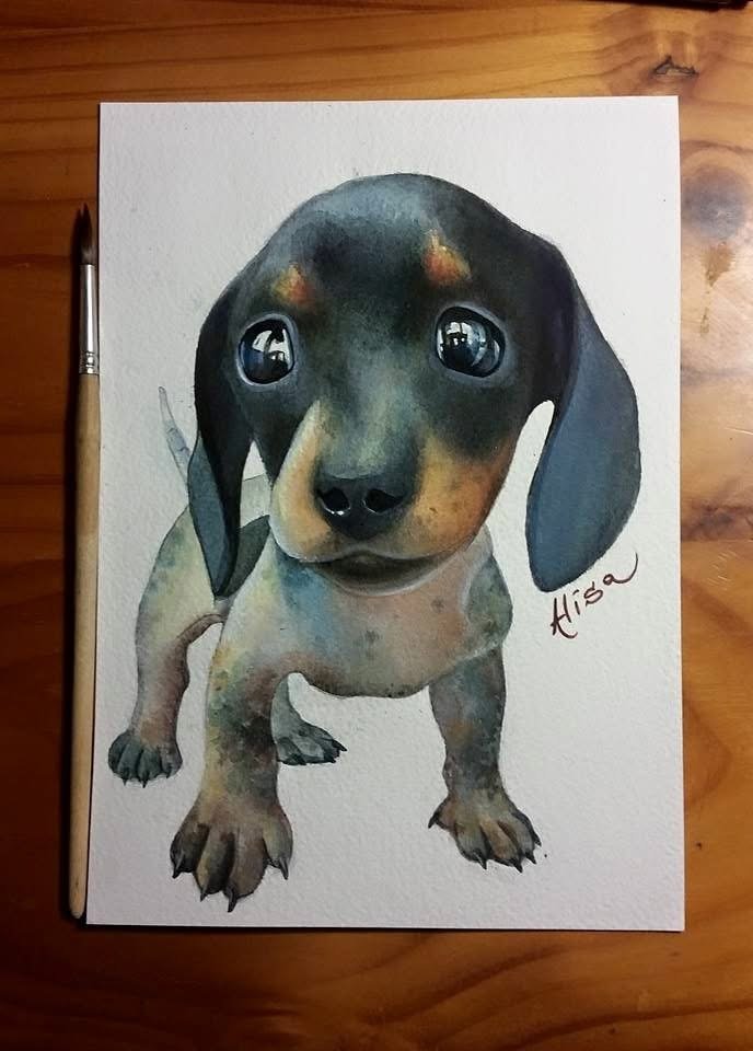 Watercolor painting of a cute, realistic black and tan dachshund puppy with big eyes, signed 'Hisa'.