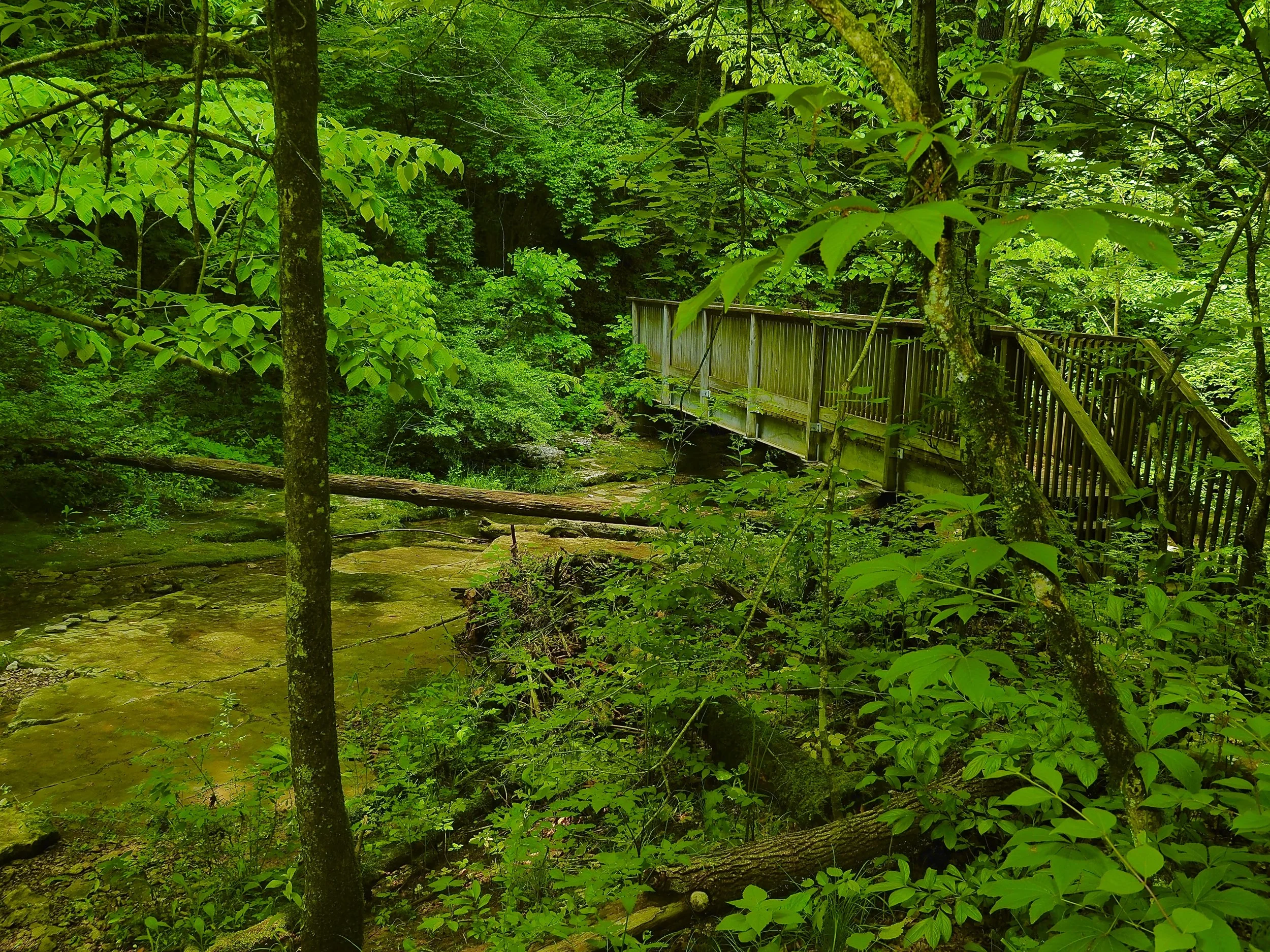 Raven Run Nature Sanctuary 
Lexington, KY