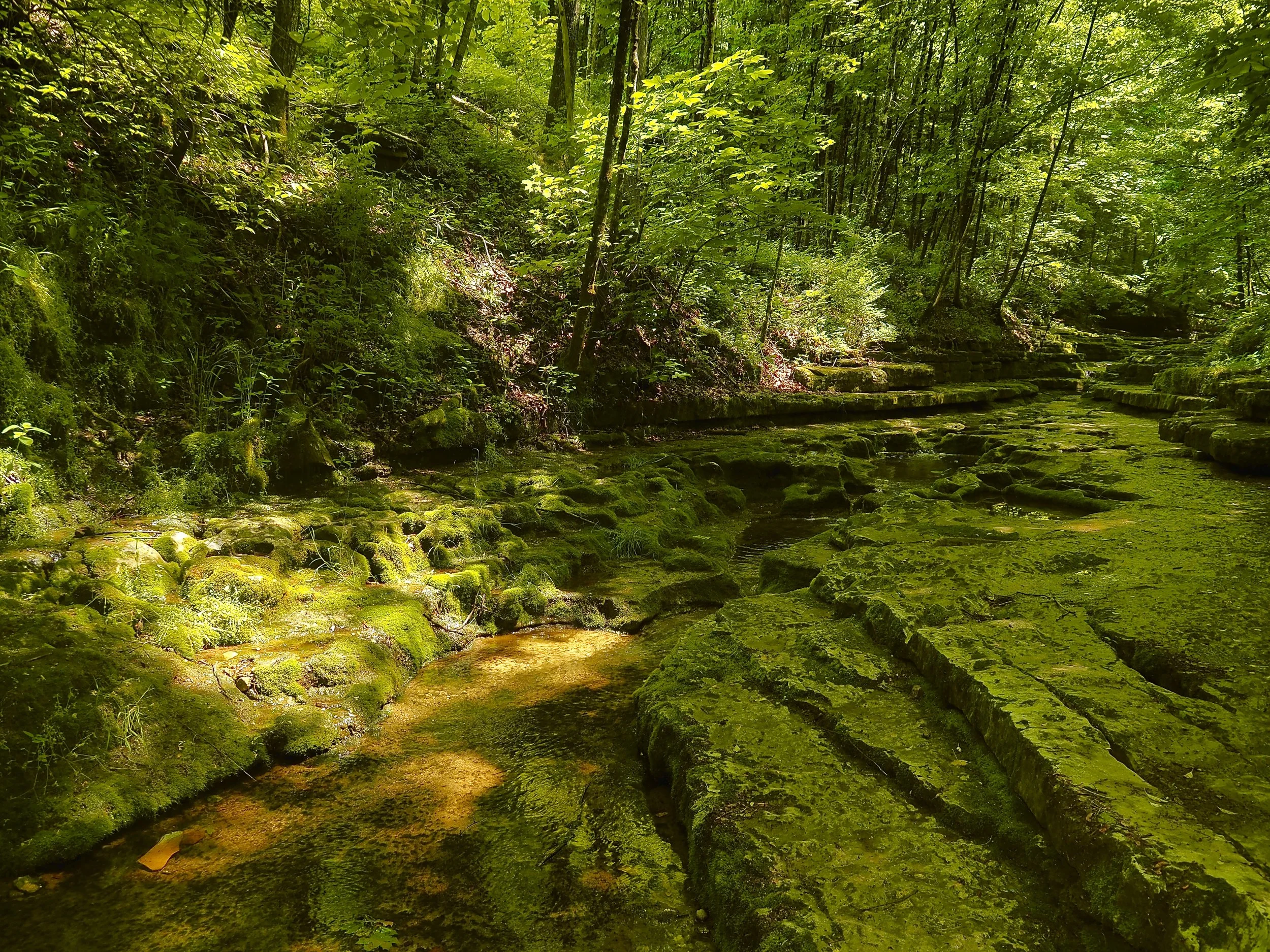 Raven Run Nature Sanctuary 
Lexington, KY