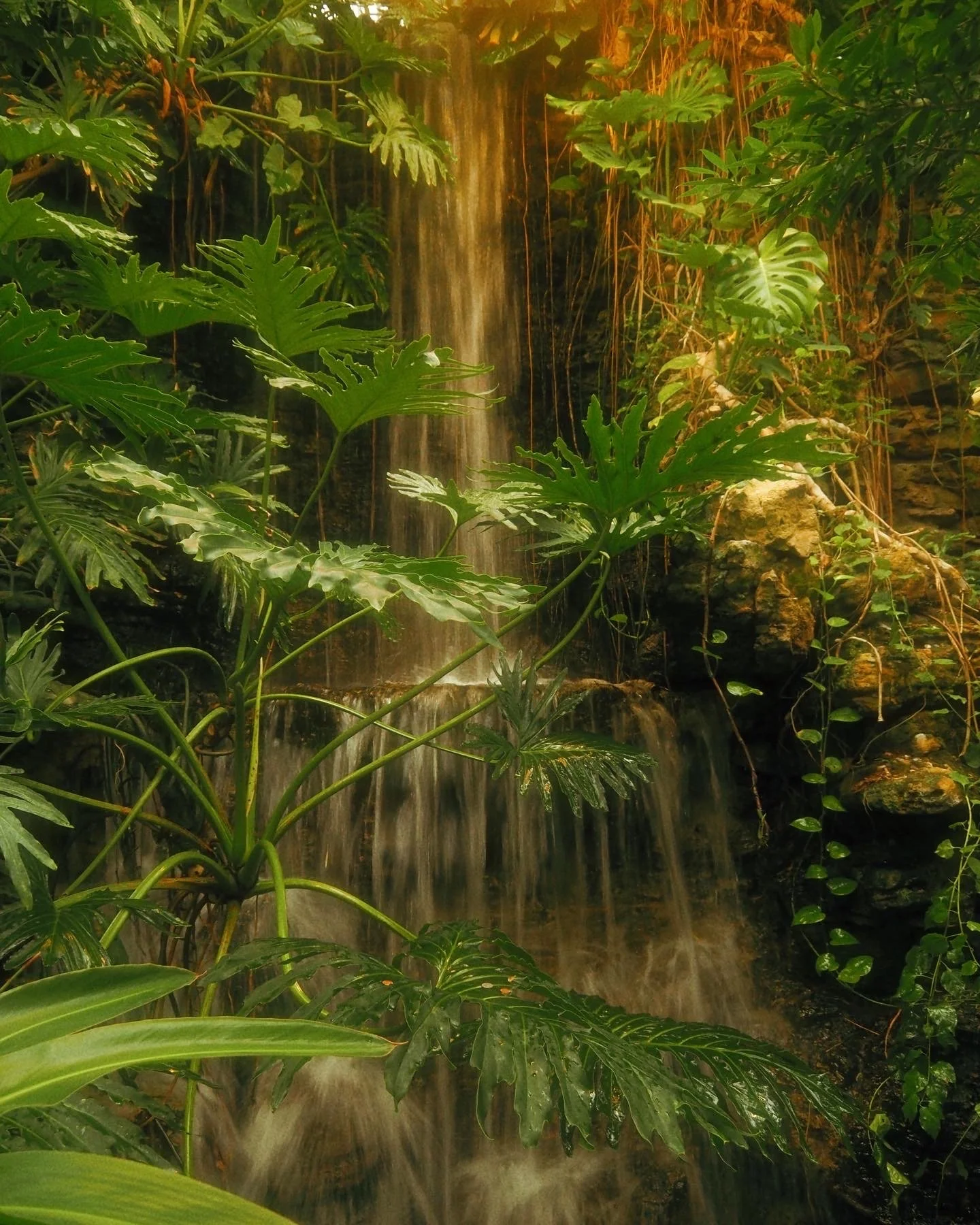 0774727E-937D-499B-B7DE-DF997272DD26 copy.JPG