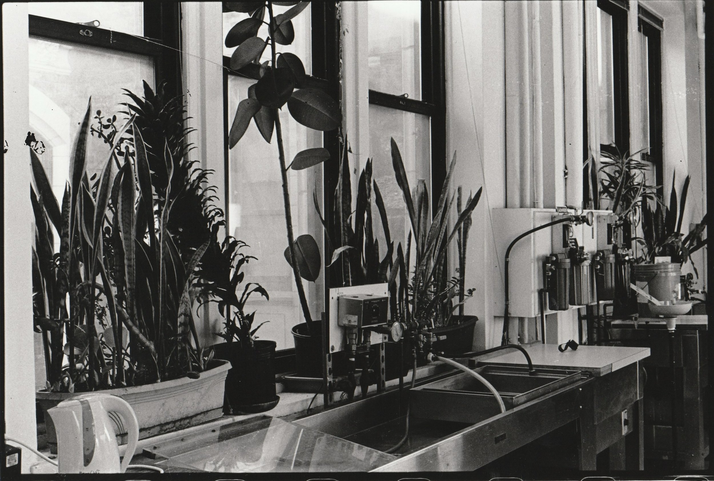 IMG_20250224_0001 copy 5.jpg