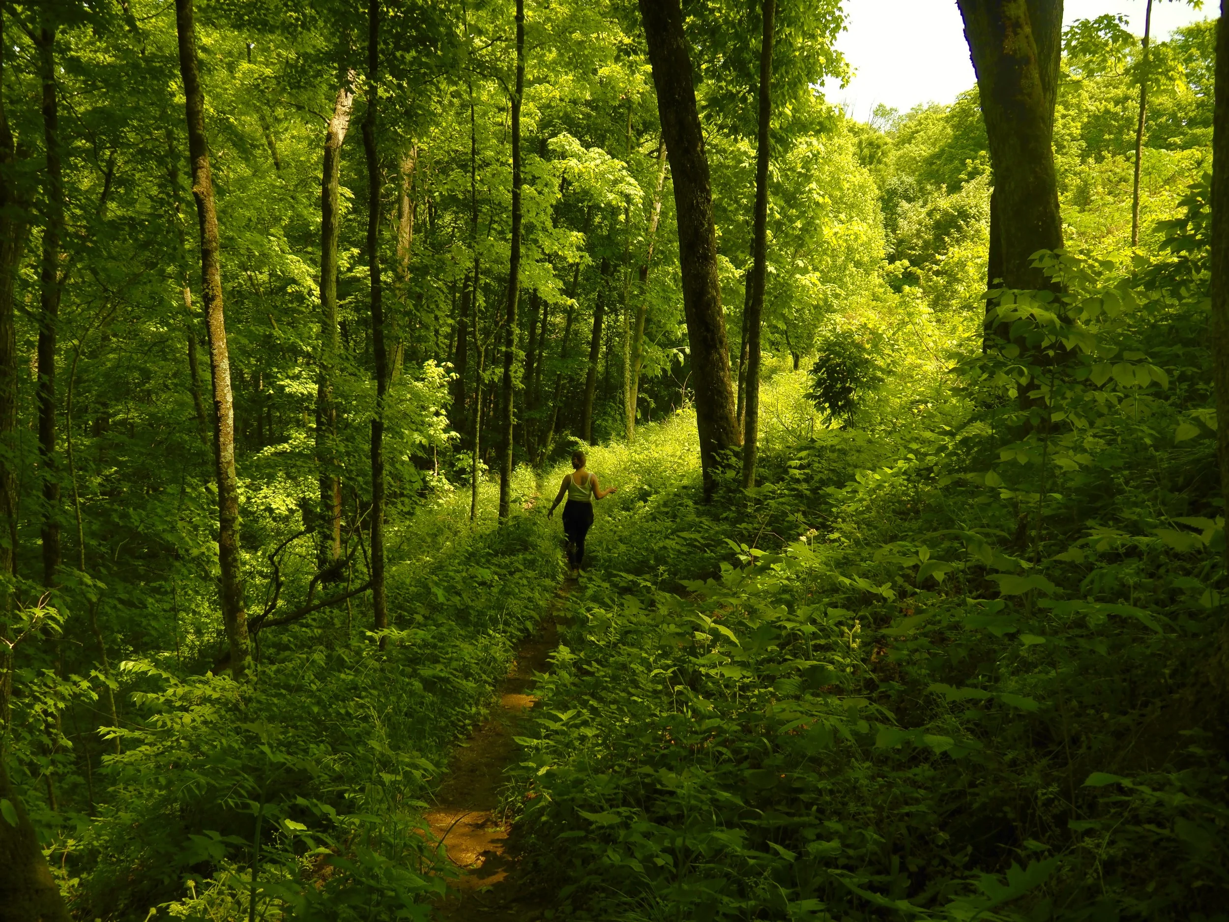 Raven Run Nature Sanctuary 
Lexington, KY
