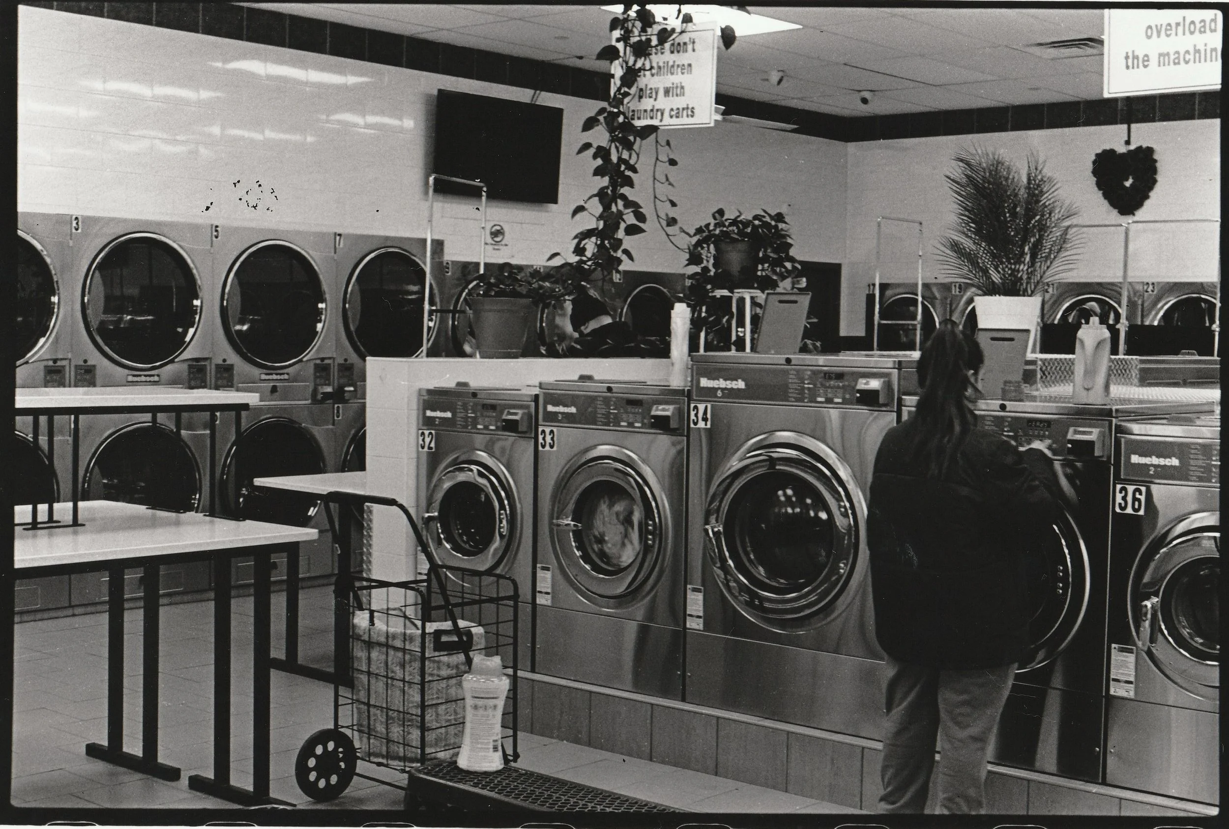 IMG_20250224_0001 2.jpg