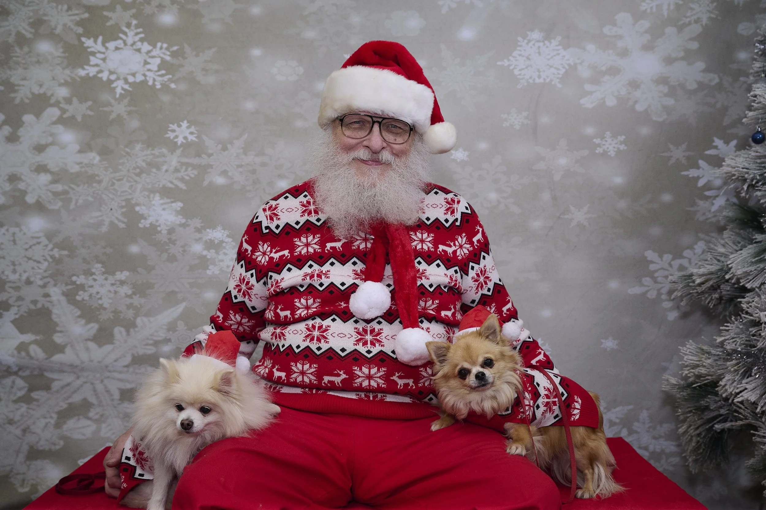 Saints of the West Holiday Photo Fundraiser 2022